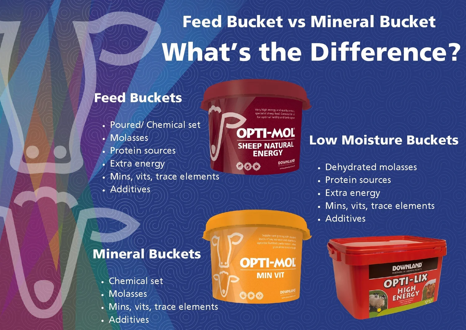 Downland infographic comparing feed buckets and low moisture mineral buckets. Feed buckets are poured or chemically set and contain molasses, protein sources, extra energy, minerals, vitamins, trace elements and additives. Low moisture buckets use dehydrated molasses with the same components.