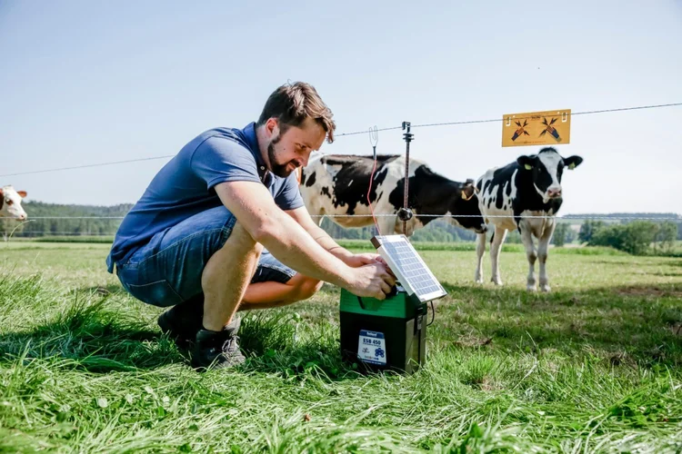 A Rutland ESB 450 solar energiser set up at an electric fence, cattle grazing beyond