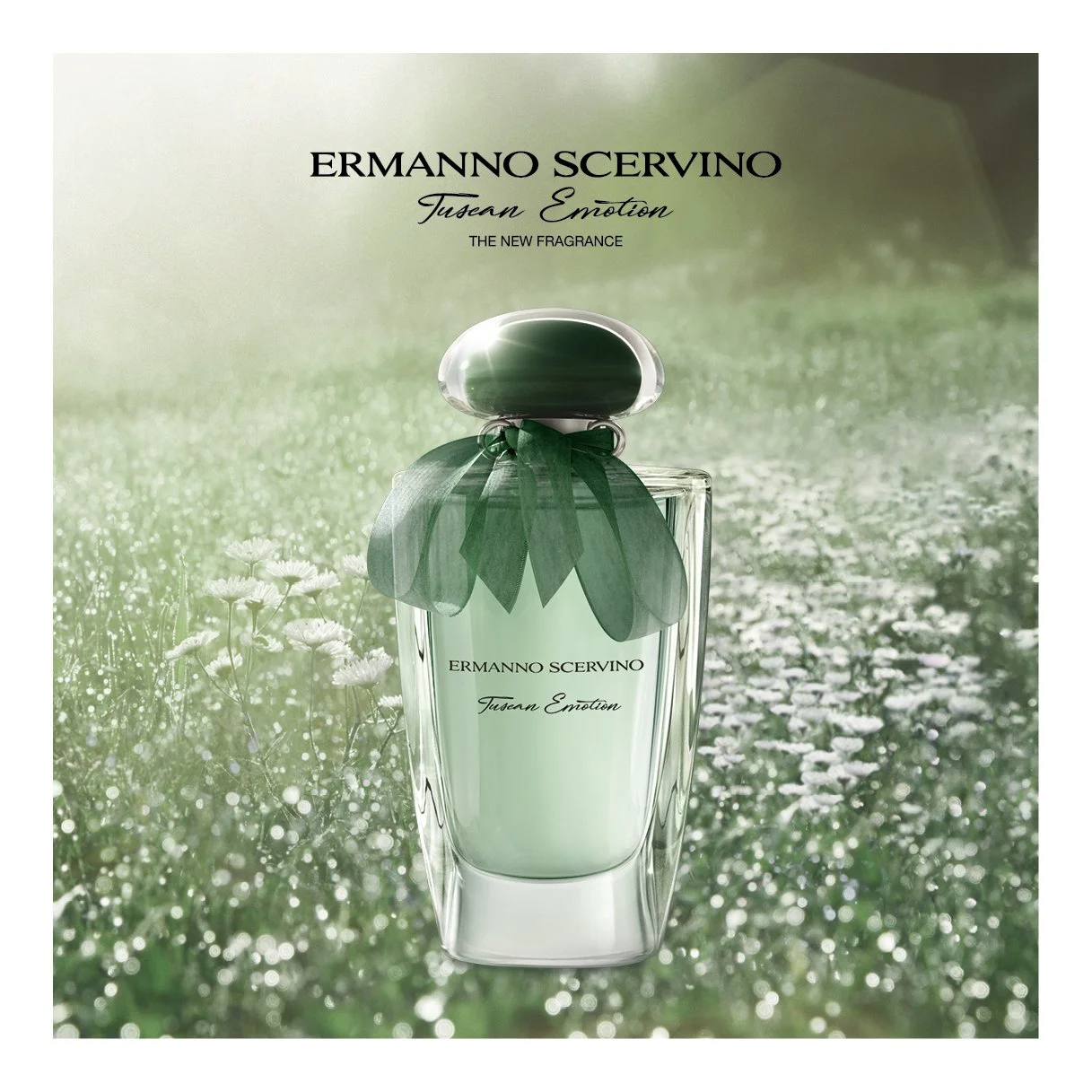 SCERVINO Tuscan Emotion 2020_ Q.jpg