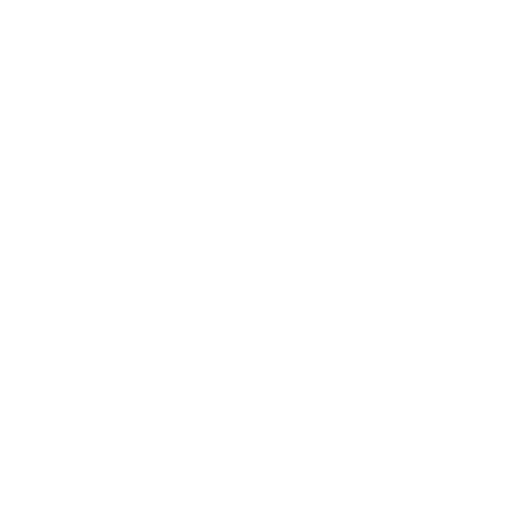 Not Normal logo.png