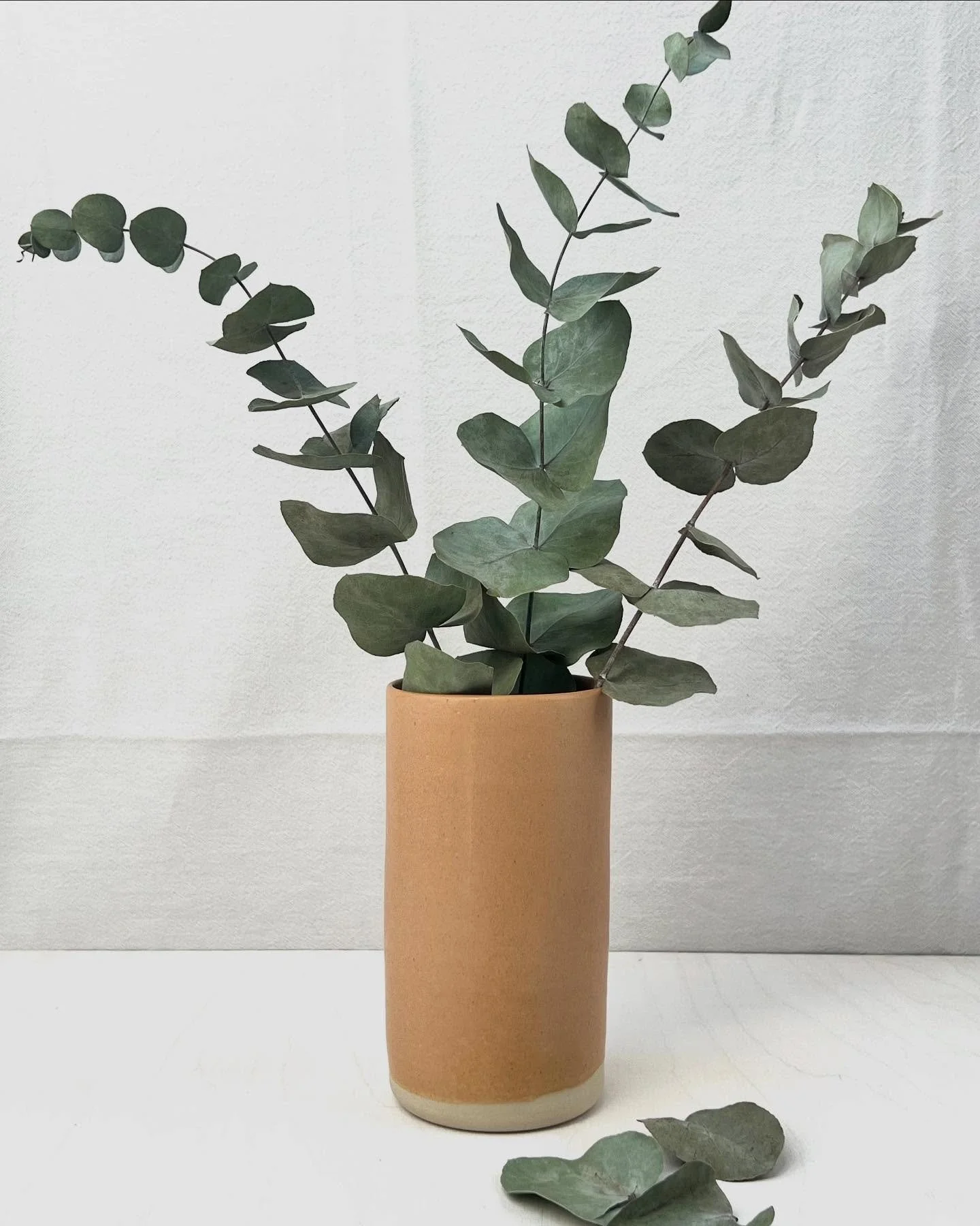 My latest colour addition is Sand, and I'm completely smitten! The deep sand colour is just like the beach after the waves have washed over it - so rich and beautiful. 

This Medium Vase in Sand will be available @celebratingceramics this weekend. I'