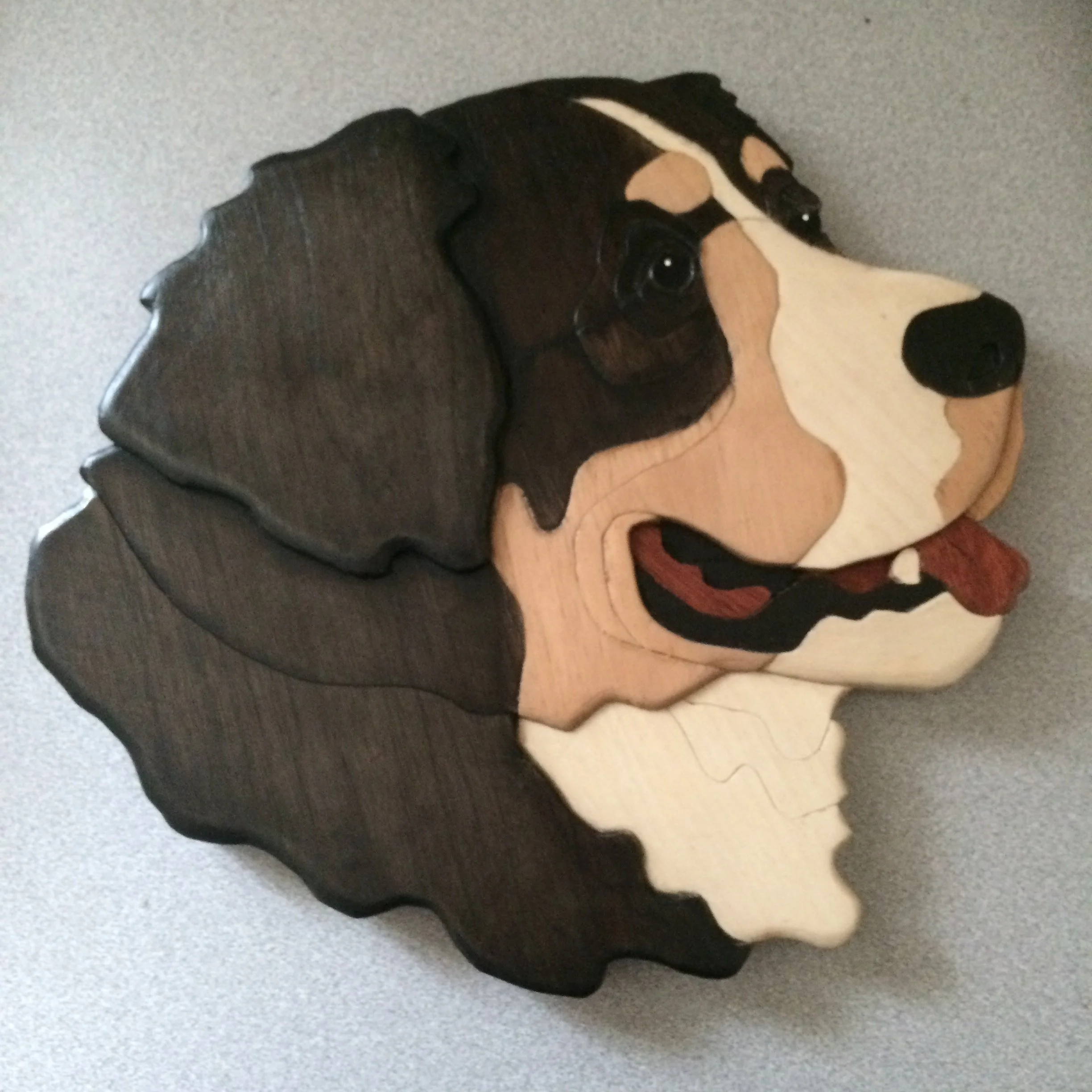 Bernese Mountain Dog Intarsia