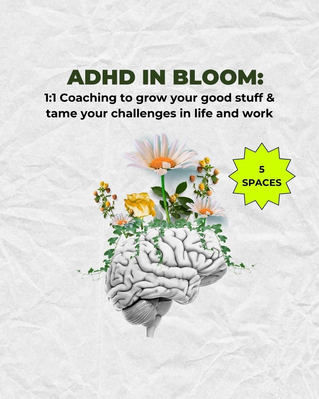 Dear ADHD&rsquo;er,

It&rsquo;s time to leave the &lsquo;If only I just tried harder&rsquo; narrative behind&hellip;
Realising you have Adult ADHD can feel like a missing puzzle piece but but you might often find yourself:

😩 Struggling to help your