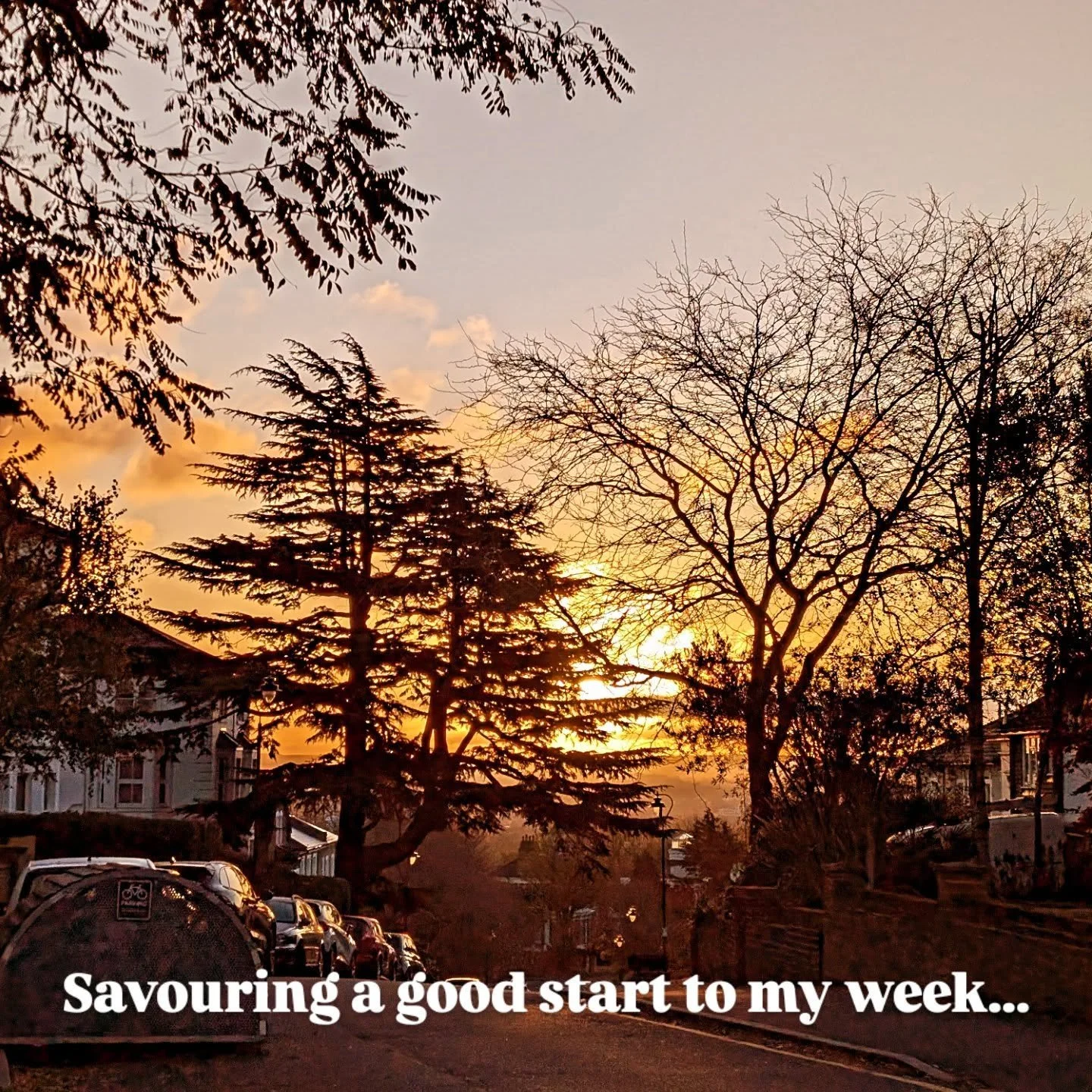 Savouring the little good things

I'm finding that being really intentional about soaking up and noticing the small things going right ATM is really helping me stay resourced and more resilient during the trickier times when it feels like everything 