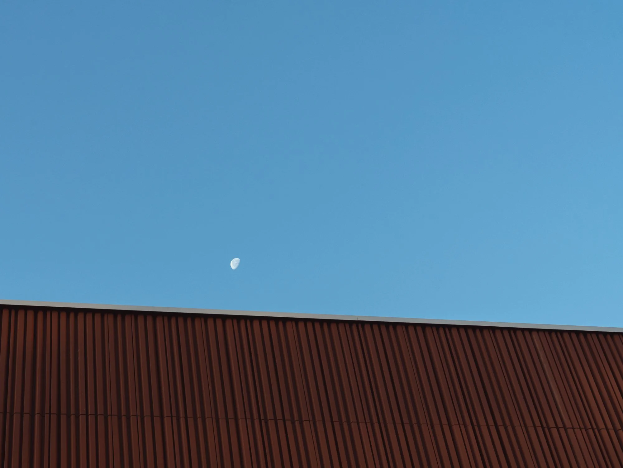 Tempo- ©PIERRE LEIBAR--19.jpg