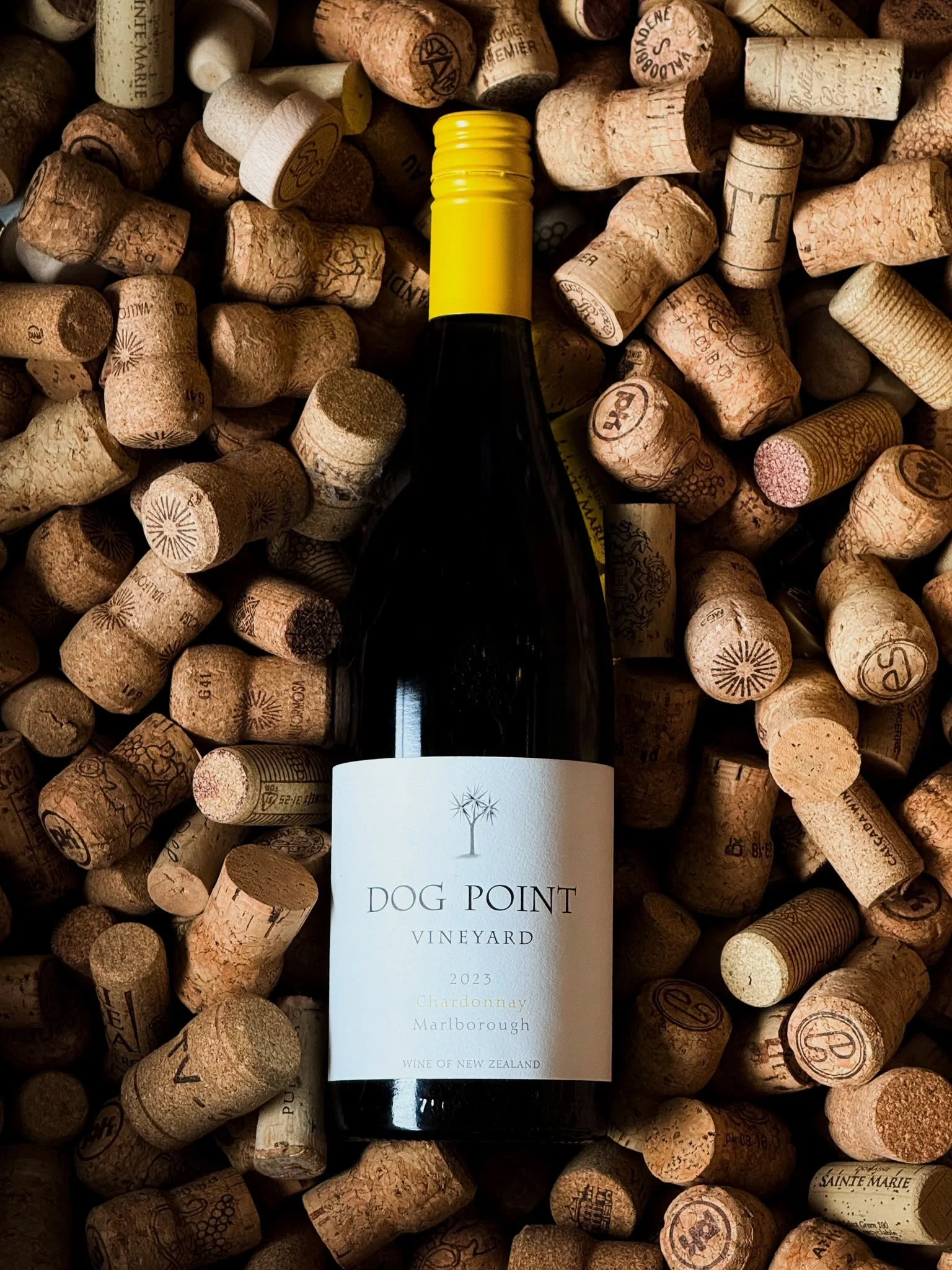 wine 2.jpg