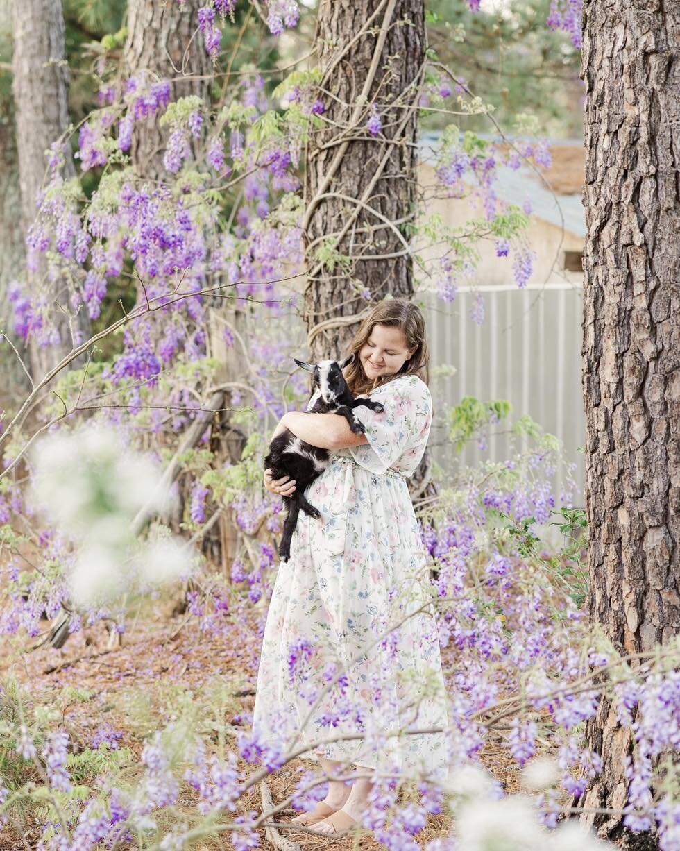 Sometimes you gotta throw on a dress, pick up a goat and make your husband take a pic of you in the wisteria🤷&zwj;♀️thanks @_adam_stanley_realtor