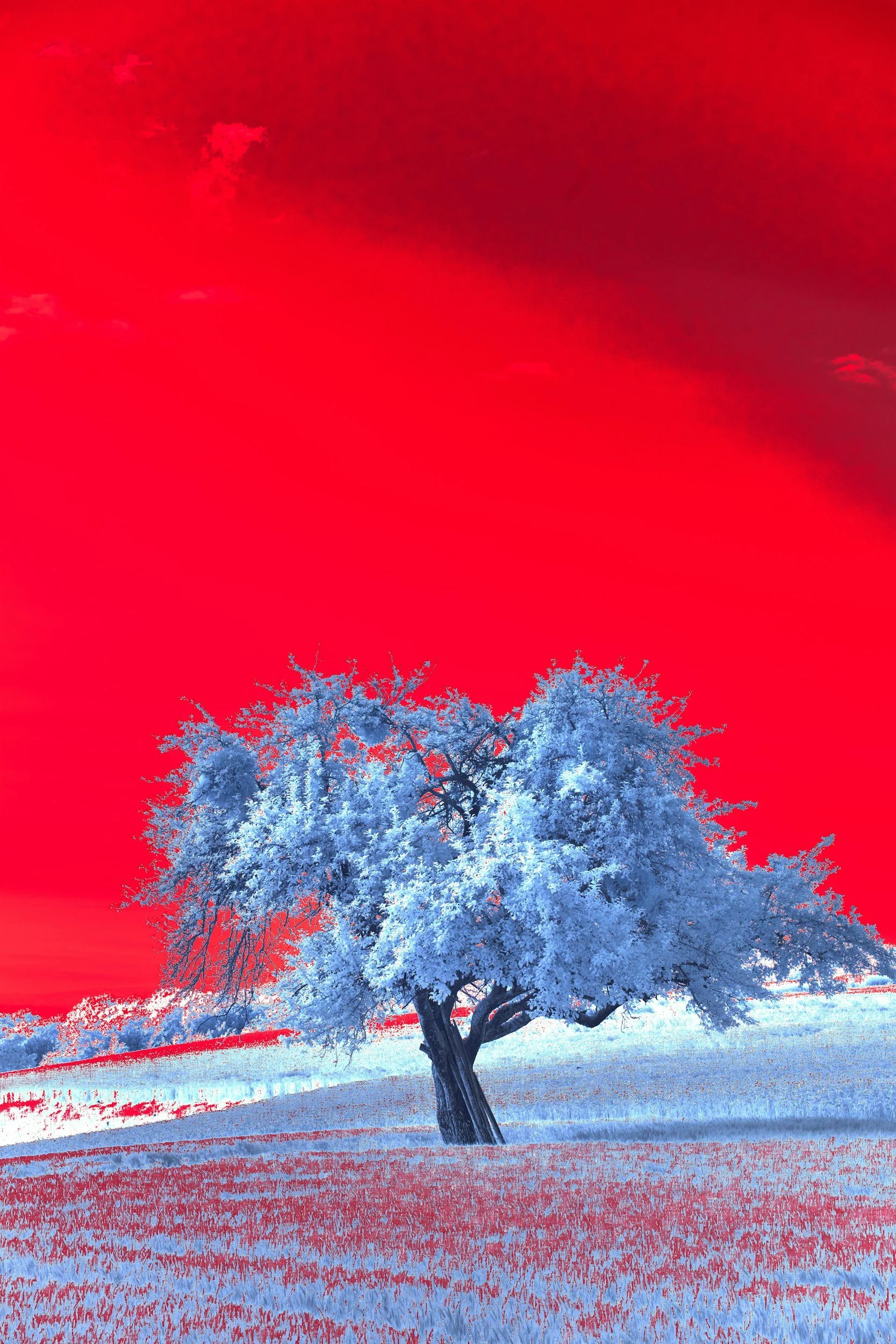 Infrared Heat Therapy and Pain Management