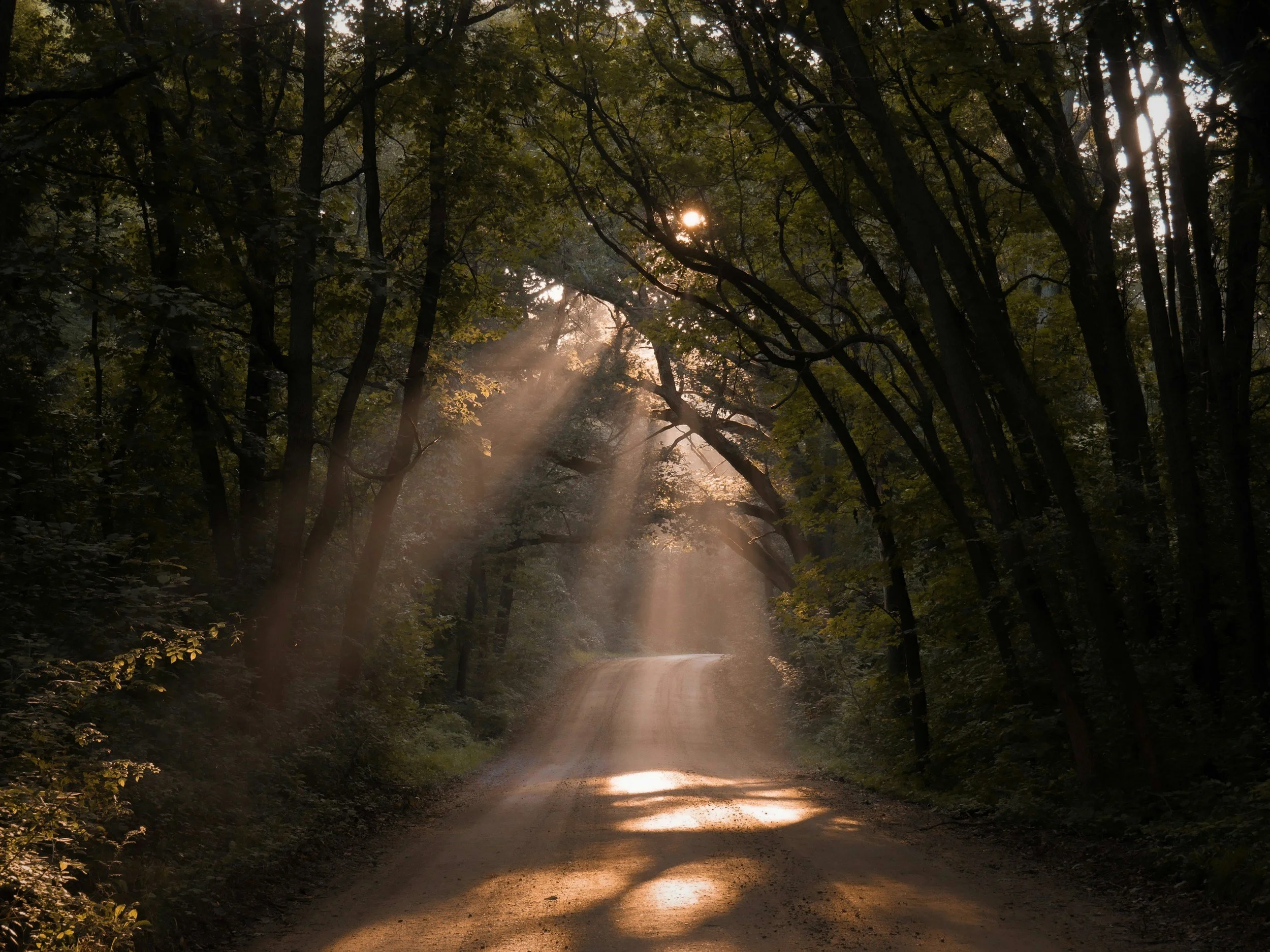 What is Light Therapy?