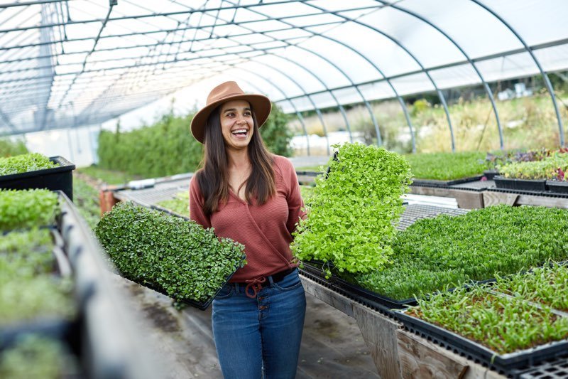 Organic No-Till Farming: A Dream Realized
