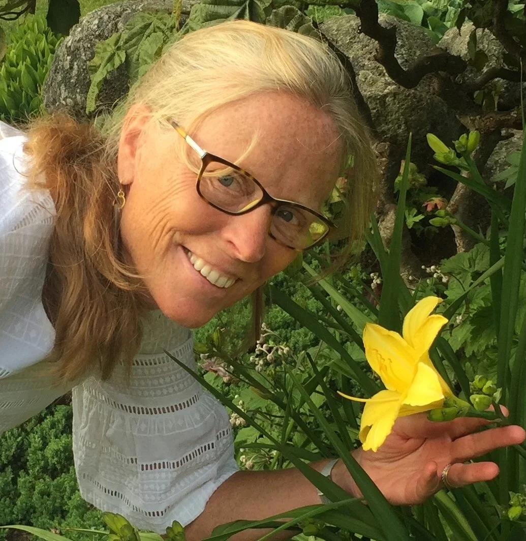 Rejuvenating the Established Garden