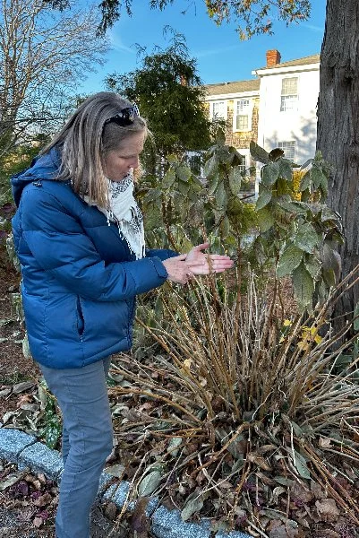 Fall Gardening and Cleanup Tips: Dos and Don’ts