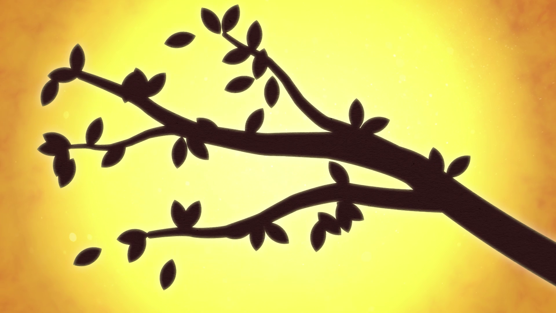 vlcsnap-2026-05-02-17h05m28s772.png