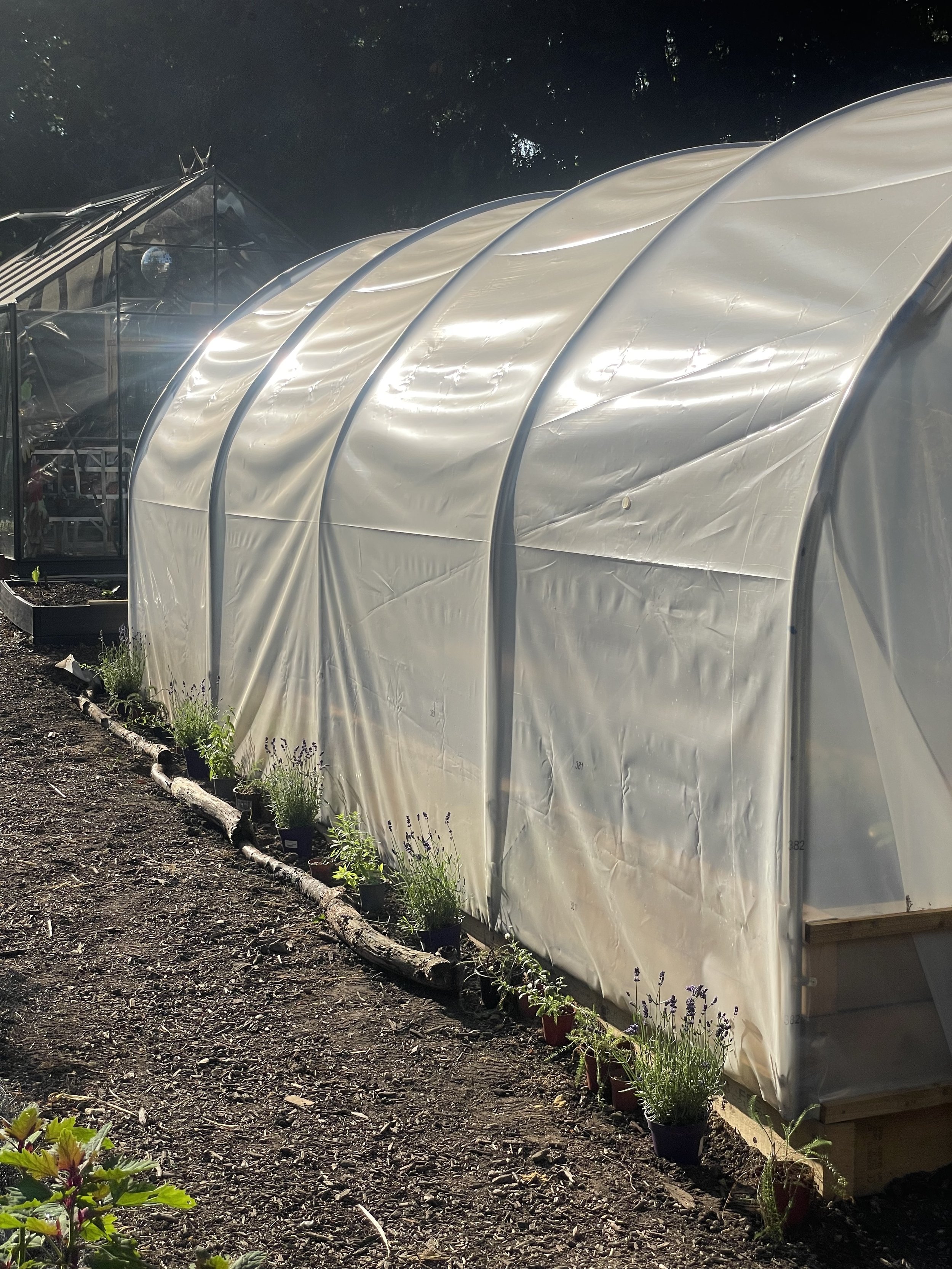 planting outside the tunnel, june 2026