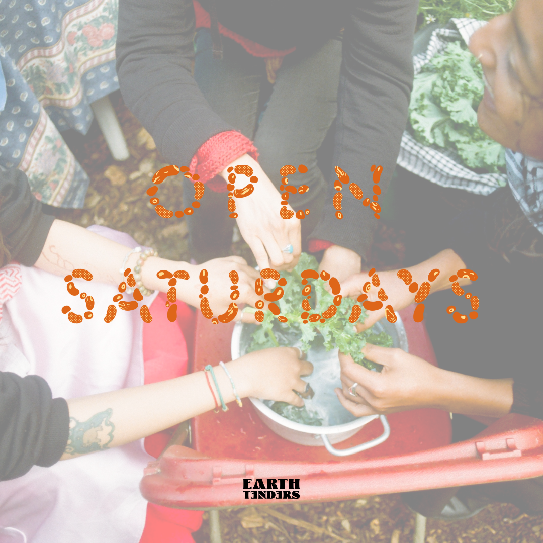Open Saturdays