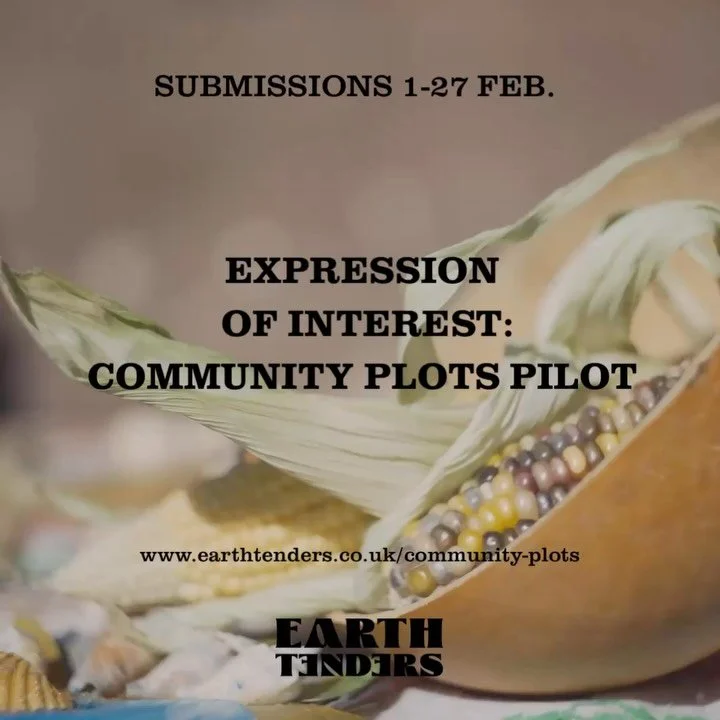 After two growing seasons on the land together we will be taking a step back from delivering our weekly volunteer sessions this coming season. Fridays collectively tending the earth have been deeply loved. We&rsquo;ve grown rich in community, knowled