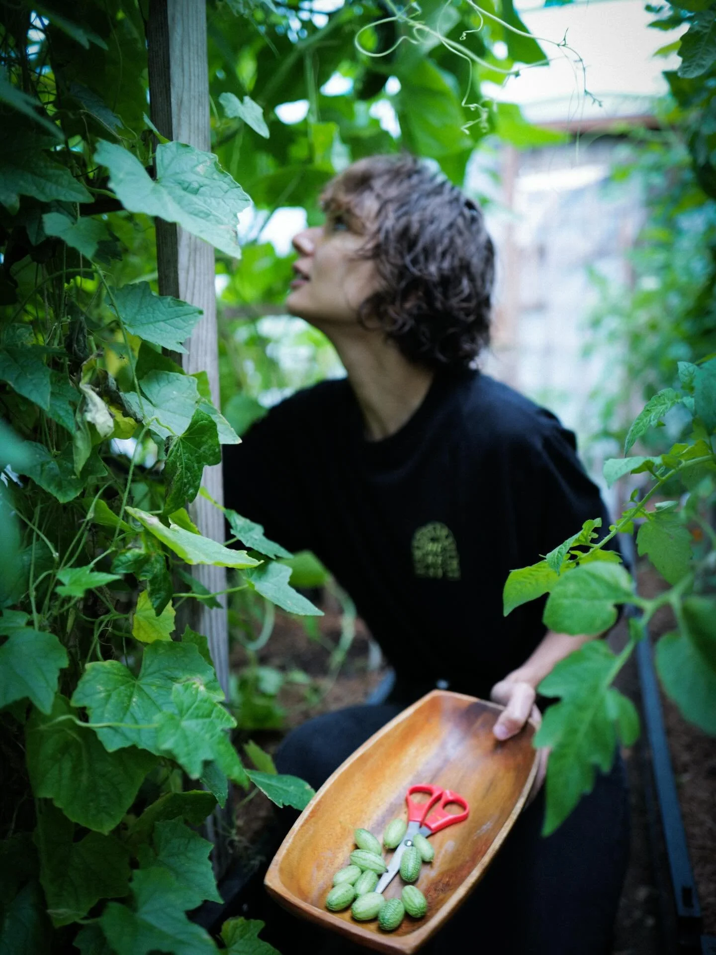 Last last week to express your interest in joining the community plots pilot for this season. If you grew with us before, really encourage you to apply. Full details on our website.

Feels good to know we&rsquo;ll be back on the land together soon 🫂