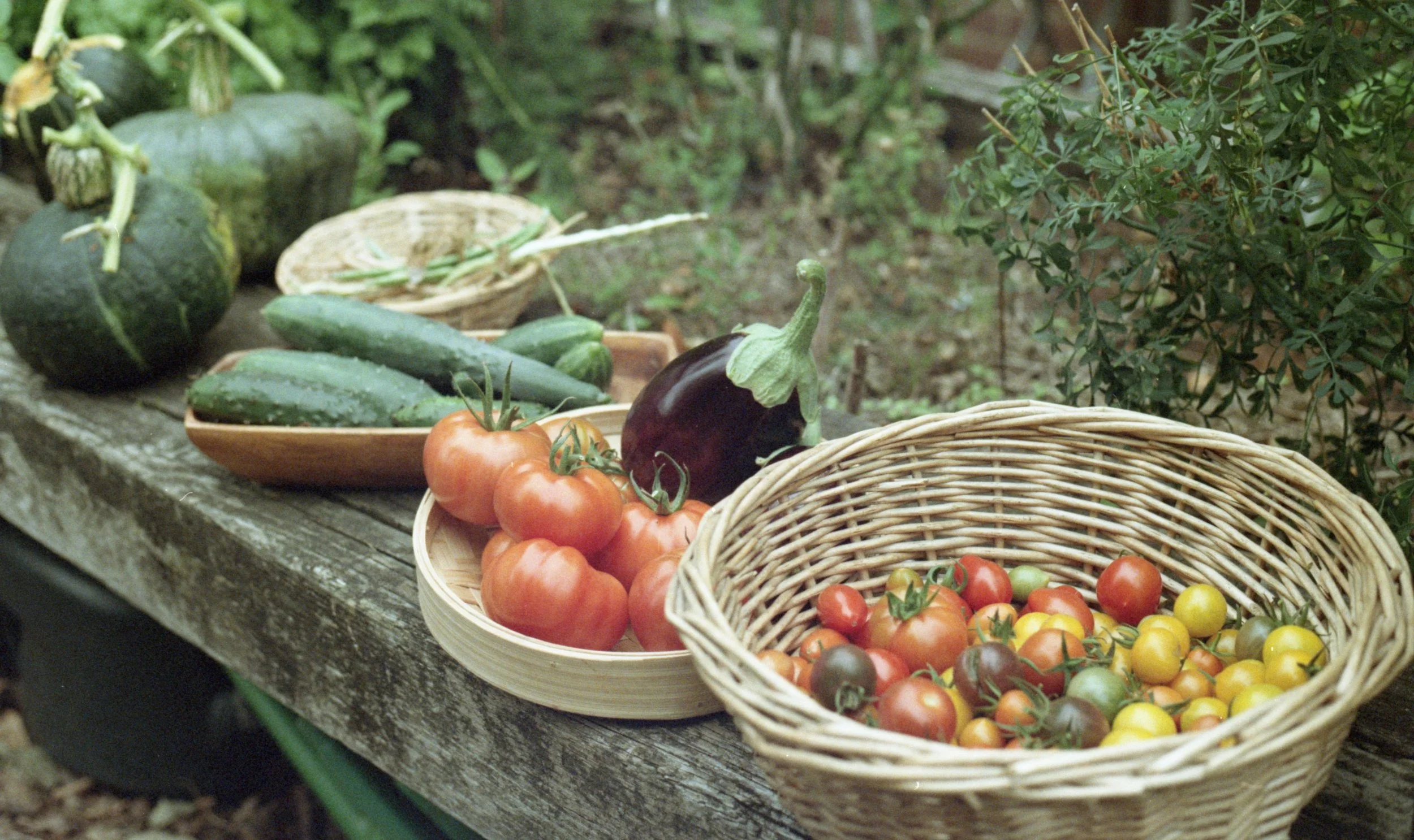 image by sunny sunday
