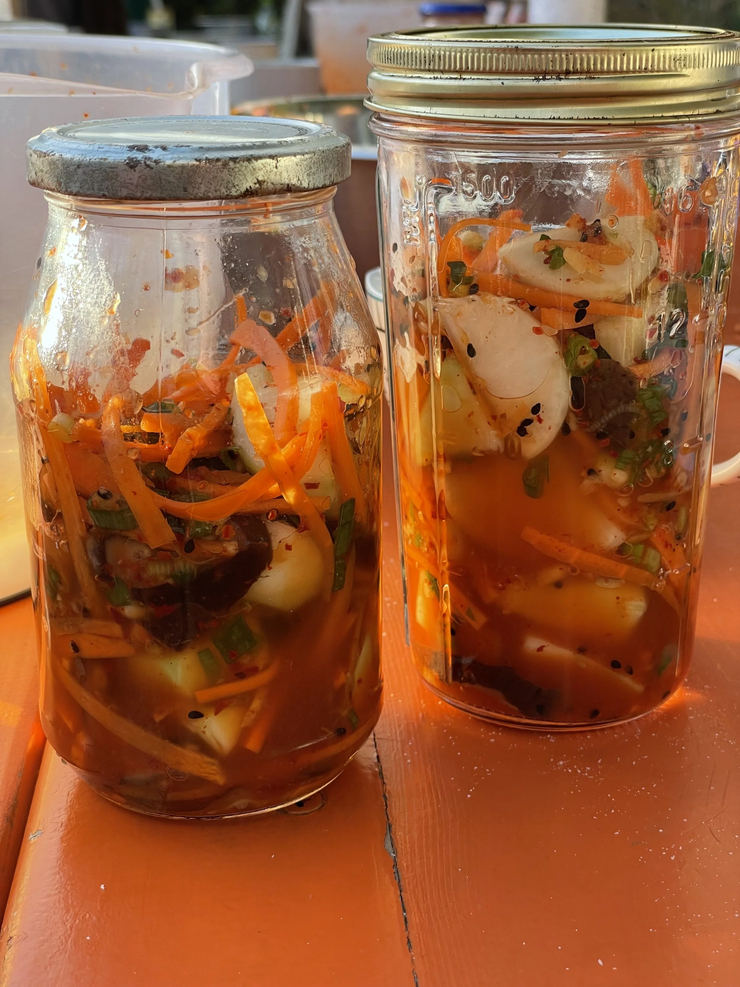 fermentated goodies, maki's workshop