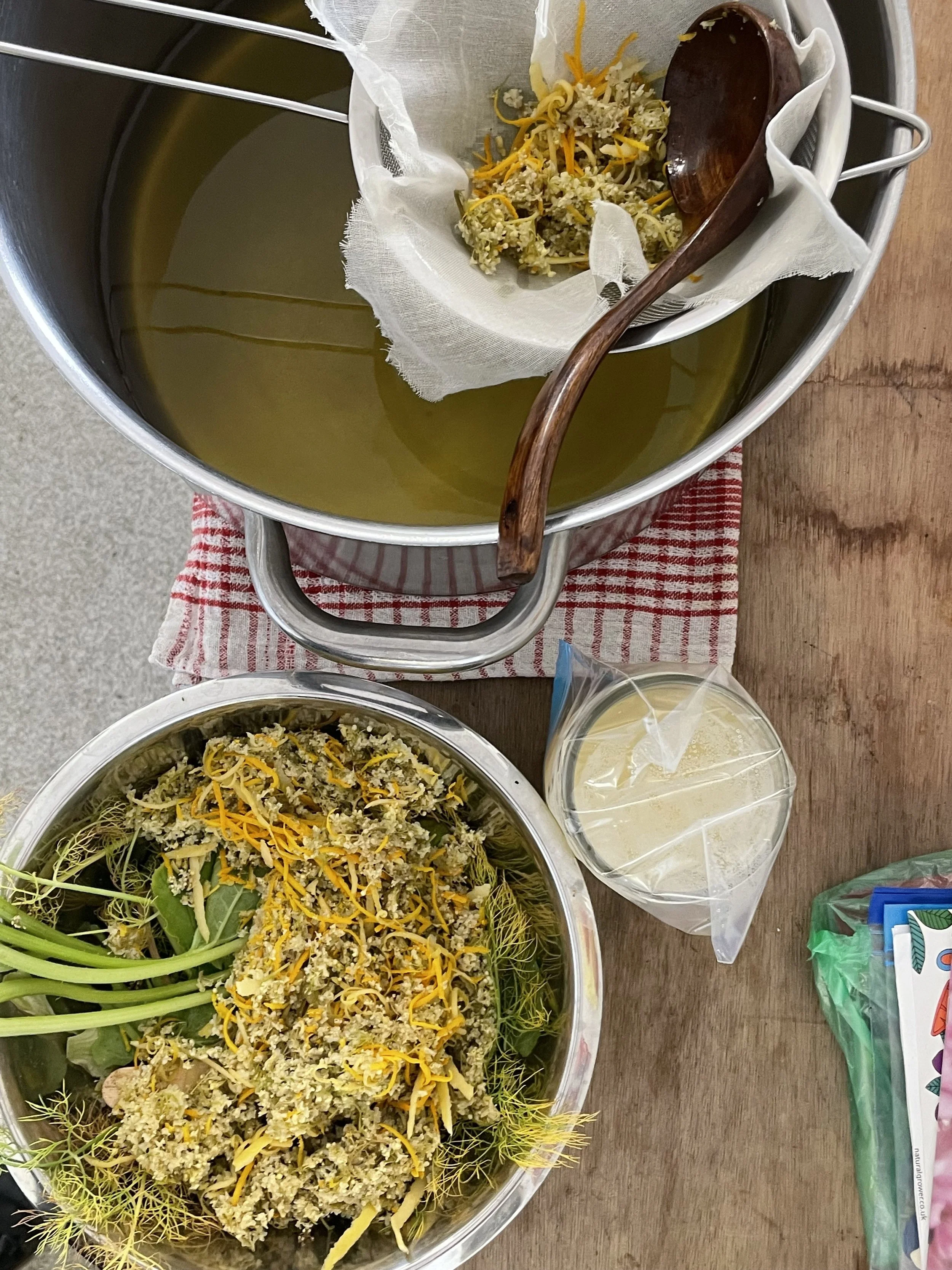 fresh elderflower processing