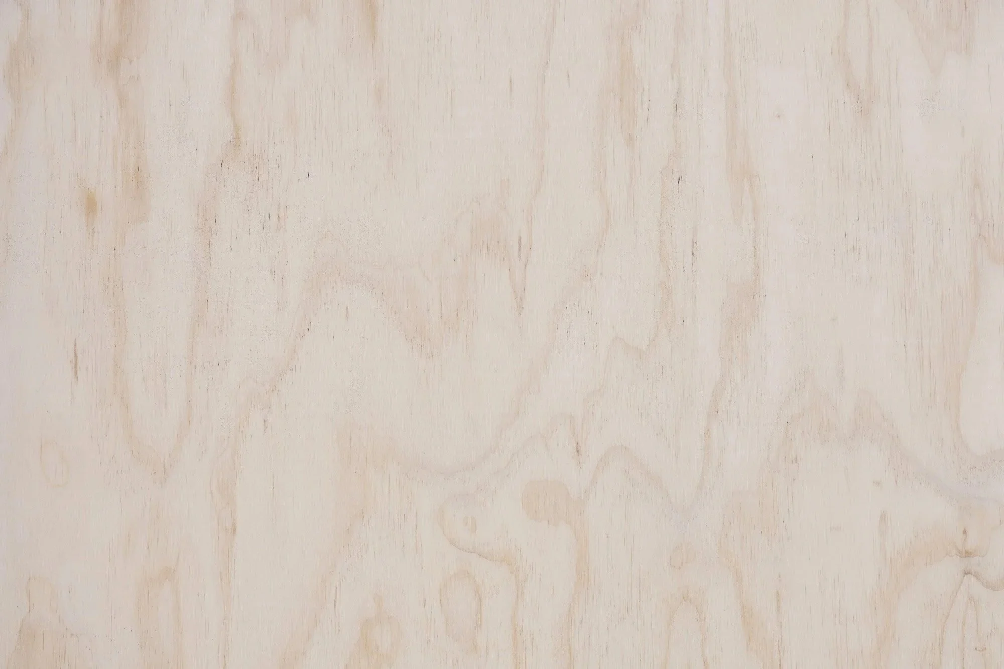 20-30 Somethings Group