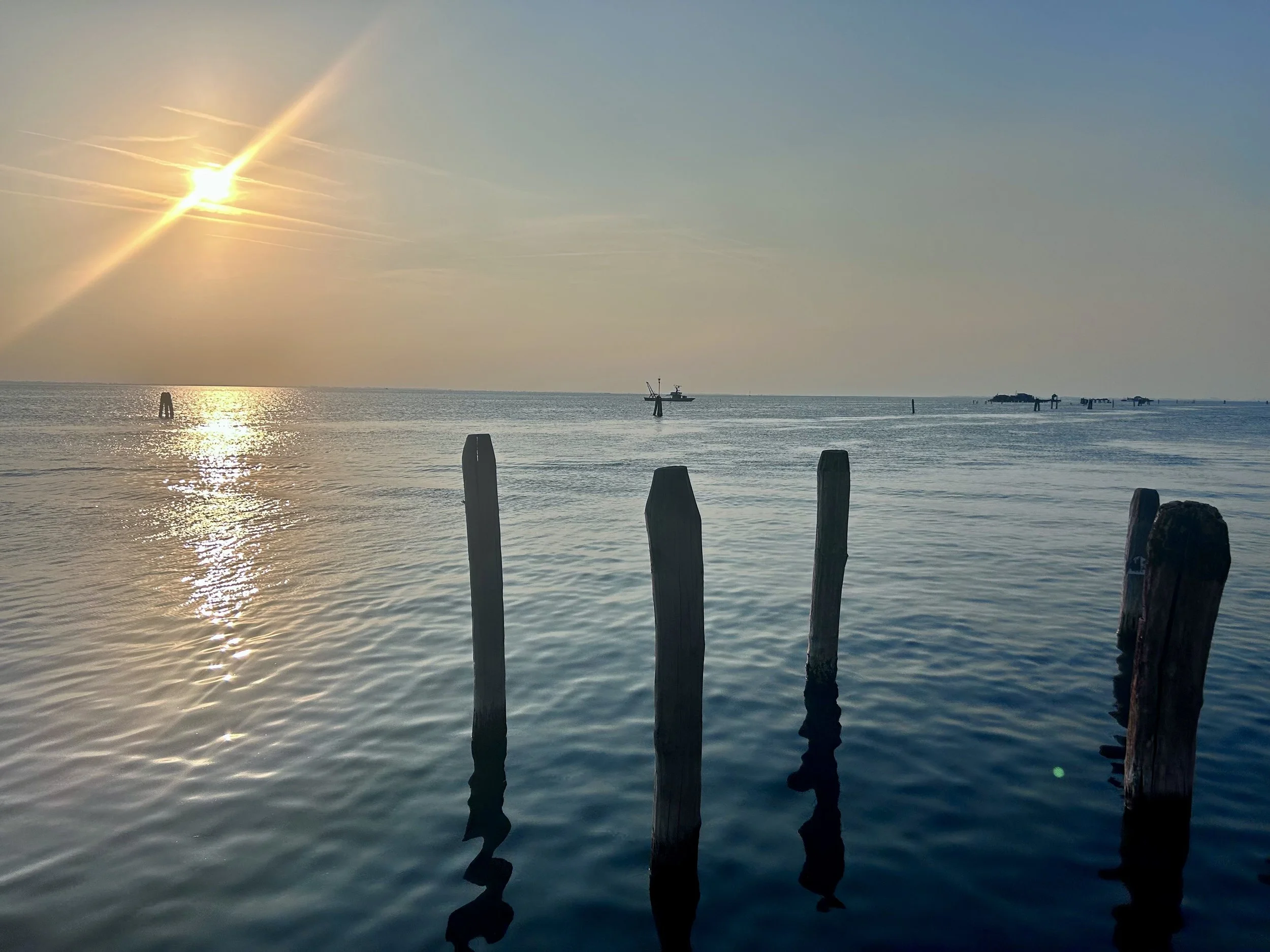 Hark! The people-pleasers spring.