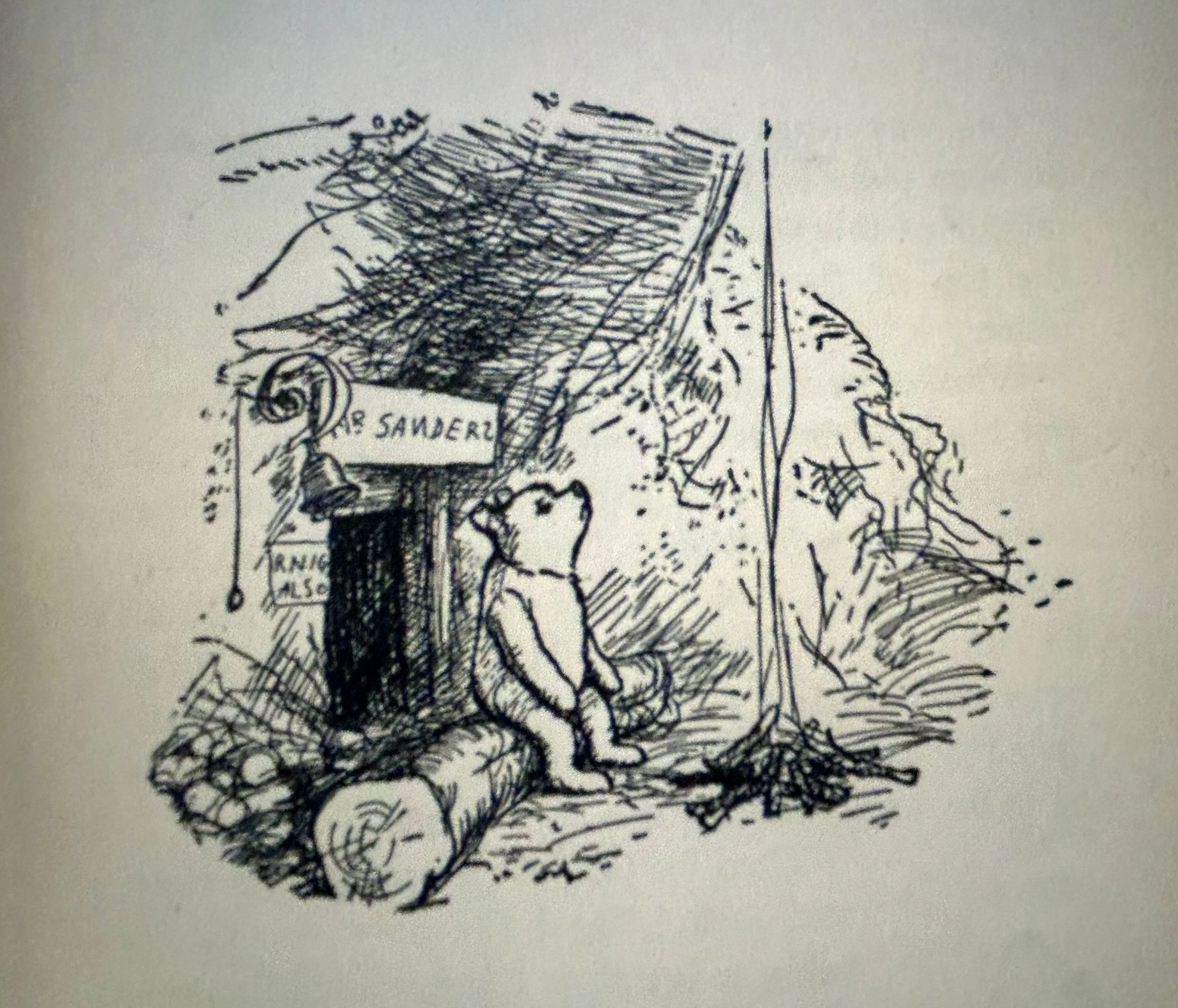 Pooh Was A Neuroscientist!