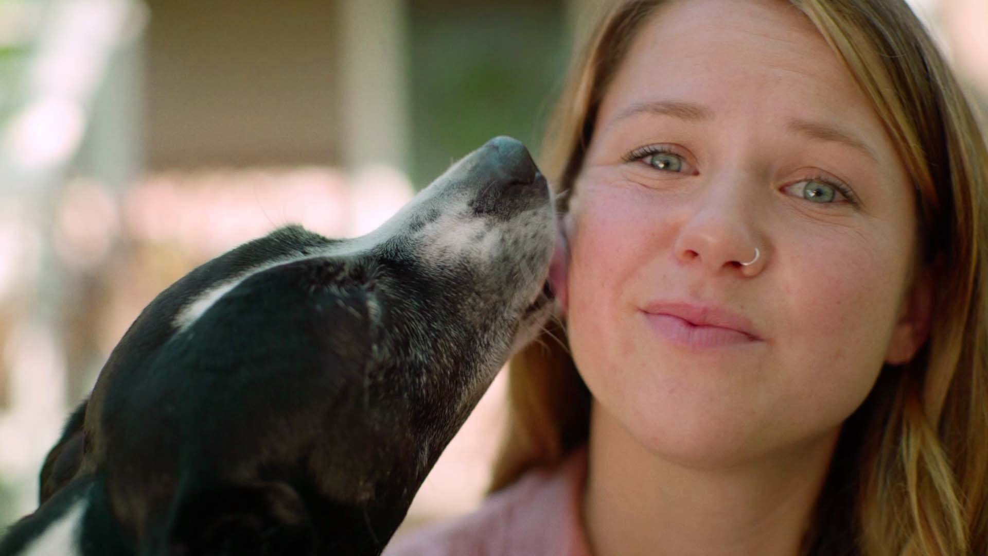 ROVER "CARE INSTRUCTIONS"| director: Alex Gorosh