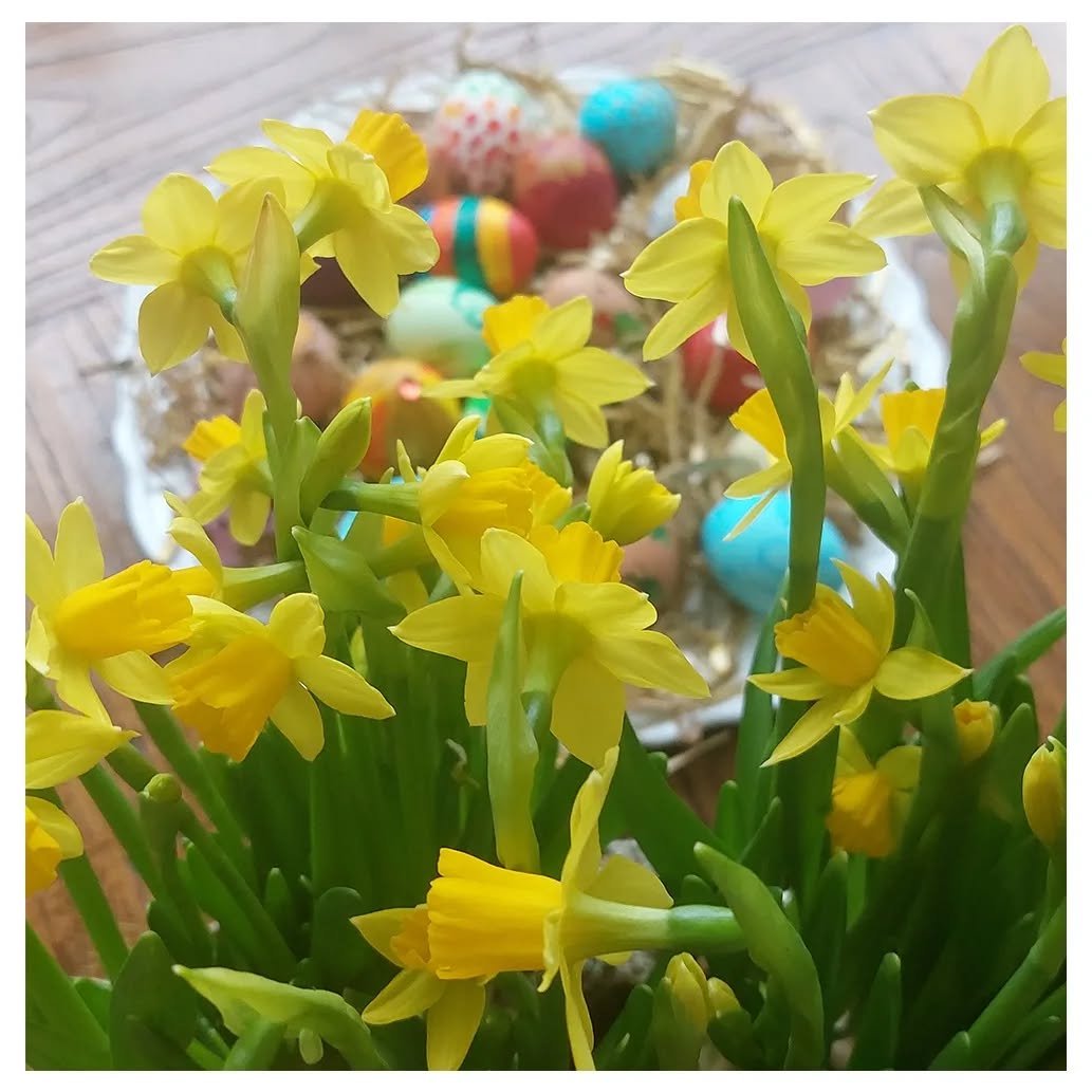 Happy Easter 🌷🪻🥚

Vandaag heb ik eieren geschilderd wat een tradietie is bij ons thuis.