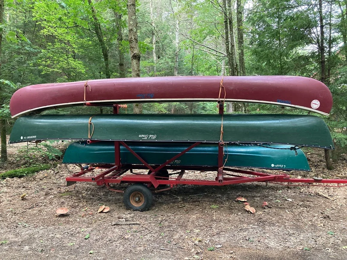 Canoes and Mushrooms.jpg