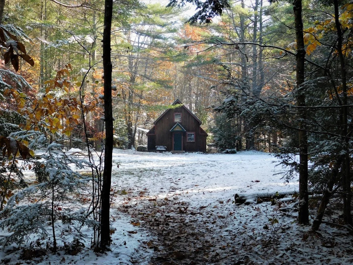 Birdhouse in the snow.JPG