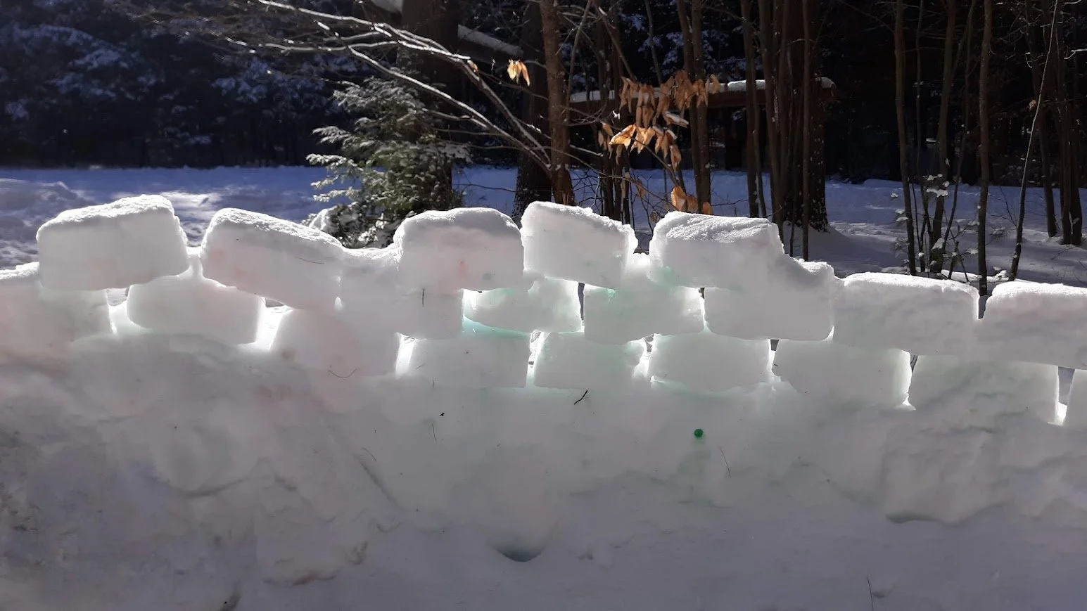 Snow bricks.jpg