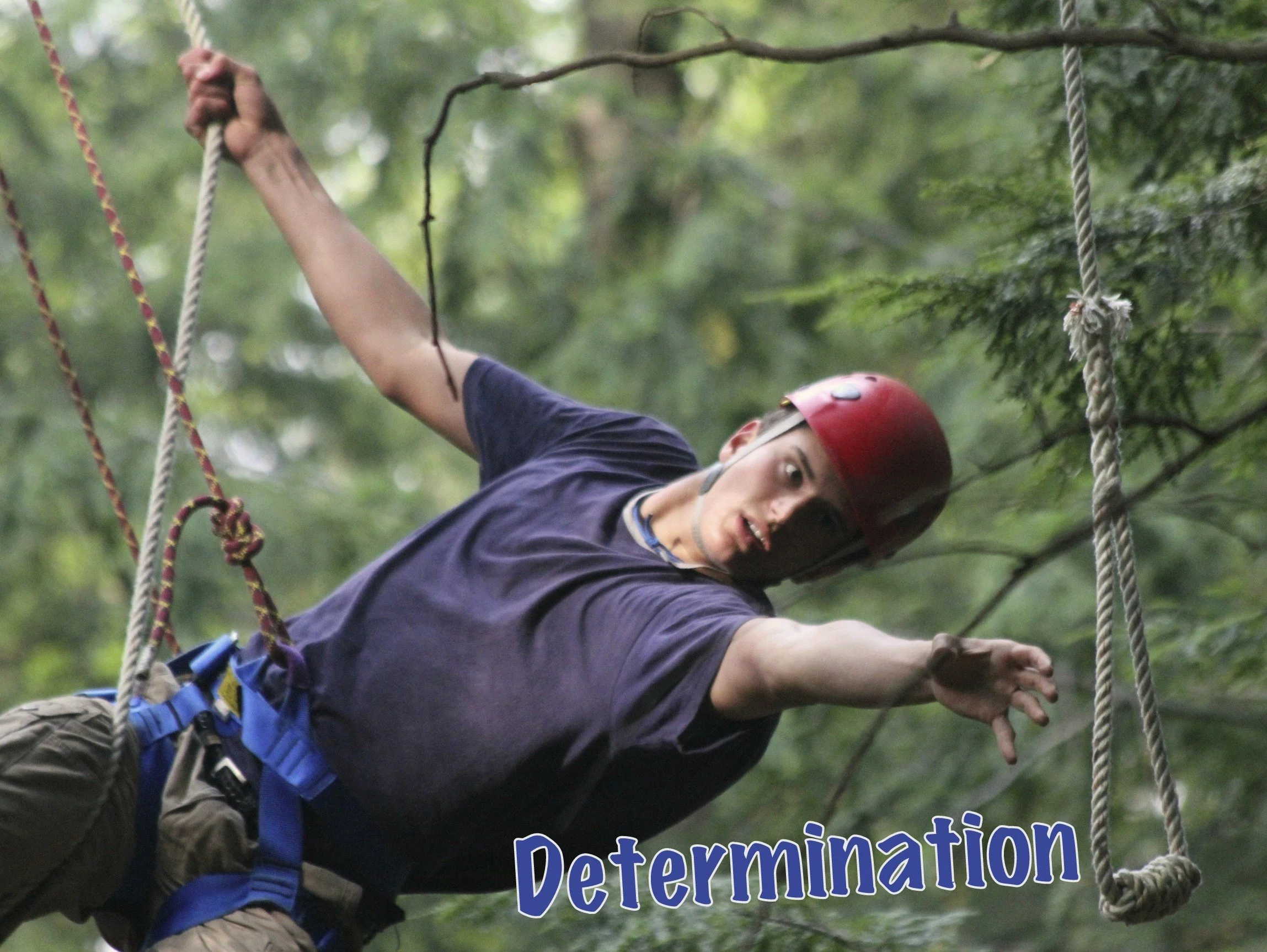 DETERMINATION solomontarzan.jpg