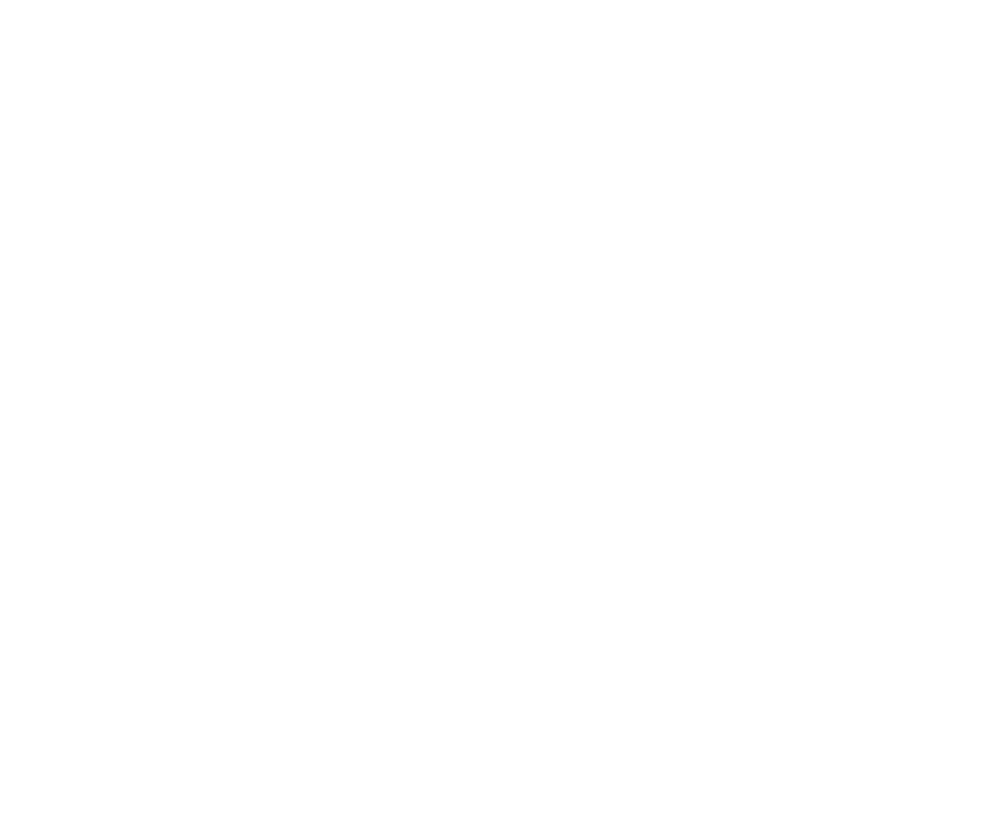 FOURTH TIER BRANDS