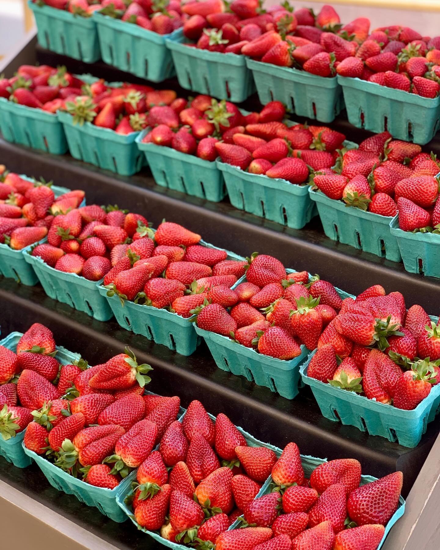 A bounty of berries just landed! Fresh from @bushnvine in York, SC. It&rsquo;s shortcake time.