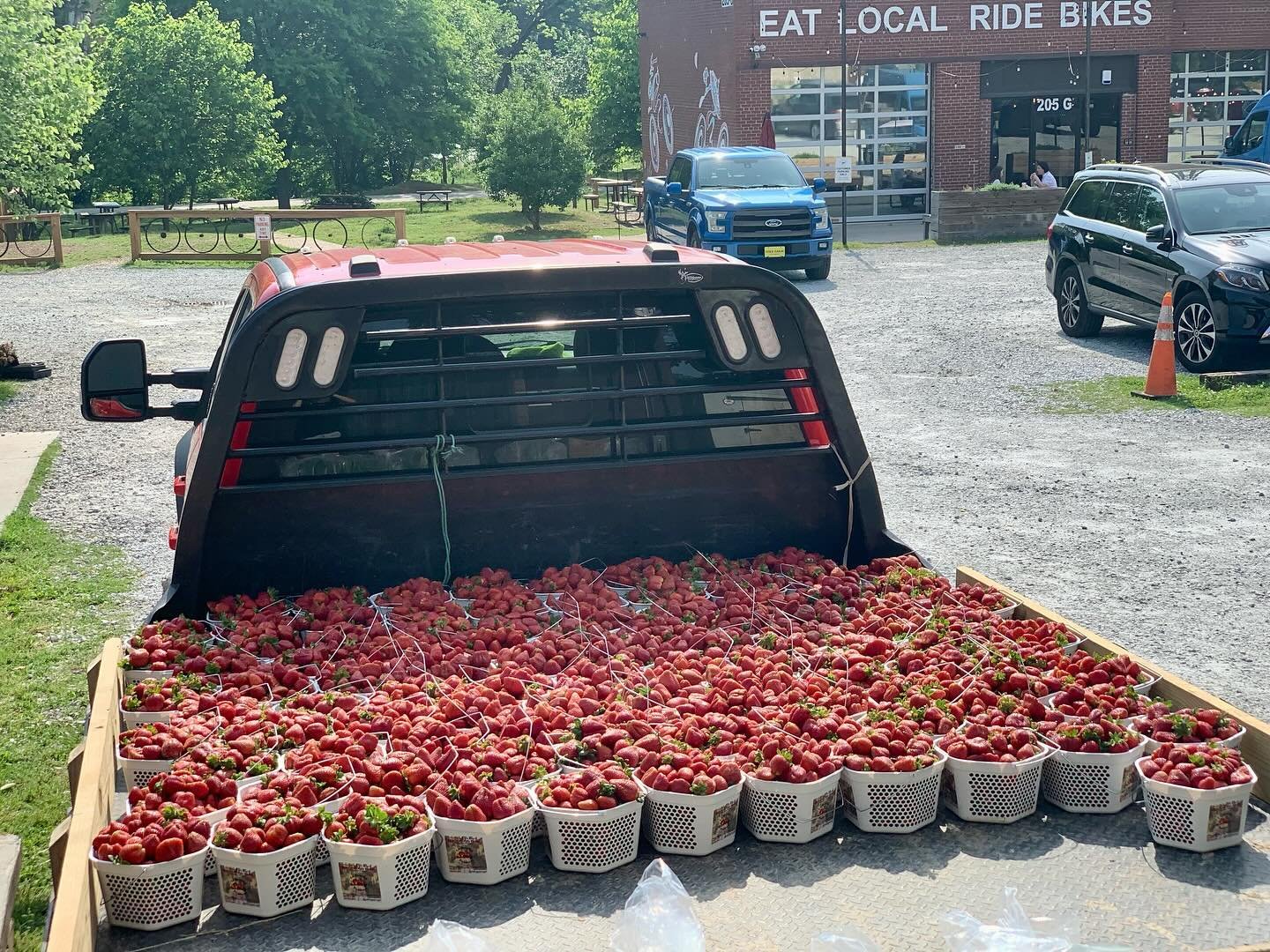 Fresh from the farm! Gallons and gallons of local strawberries are here!