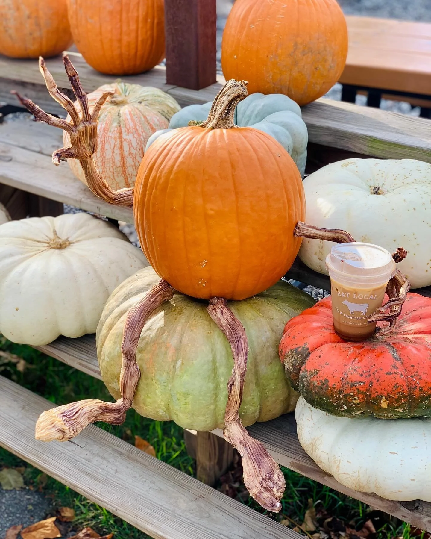 Gourdo is really loving his latte this morning. Just don&rsquo;t tell him it&rsquo;s pumpkin spiced&hellip;