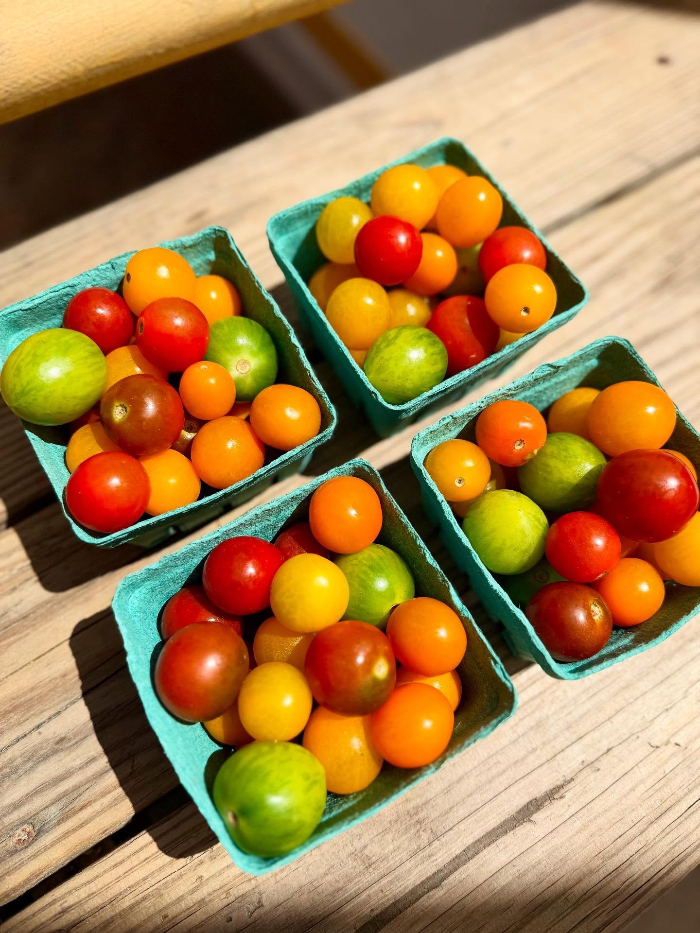 Local cherry tomatoes! Like perfect little jewels to adorn your salad.