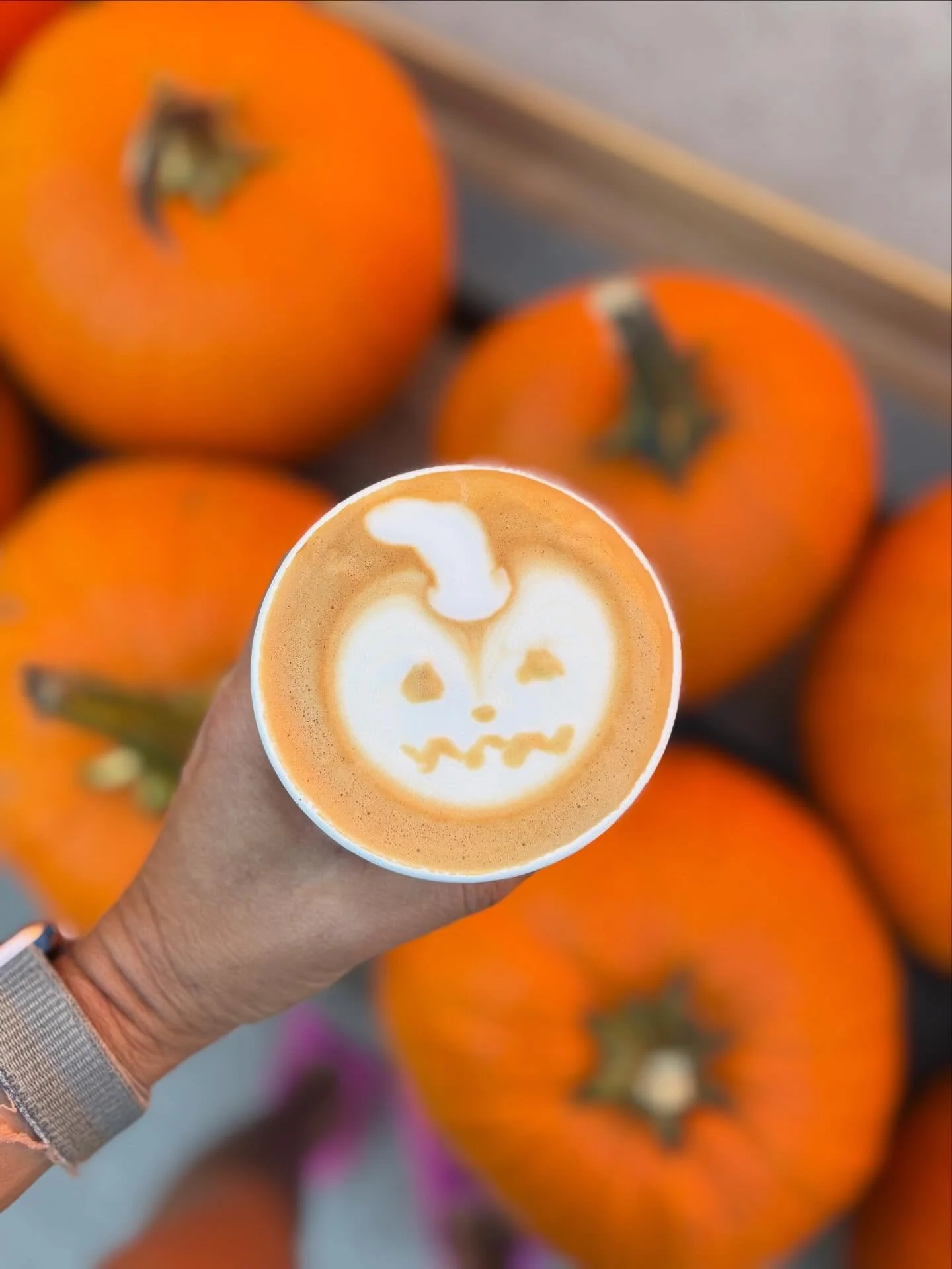 Our favorite pumpkin is the one with local milk and caffeine.