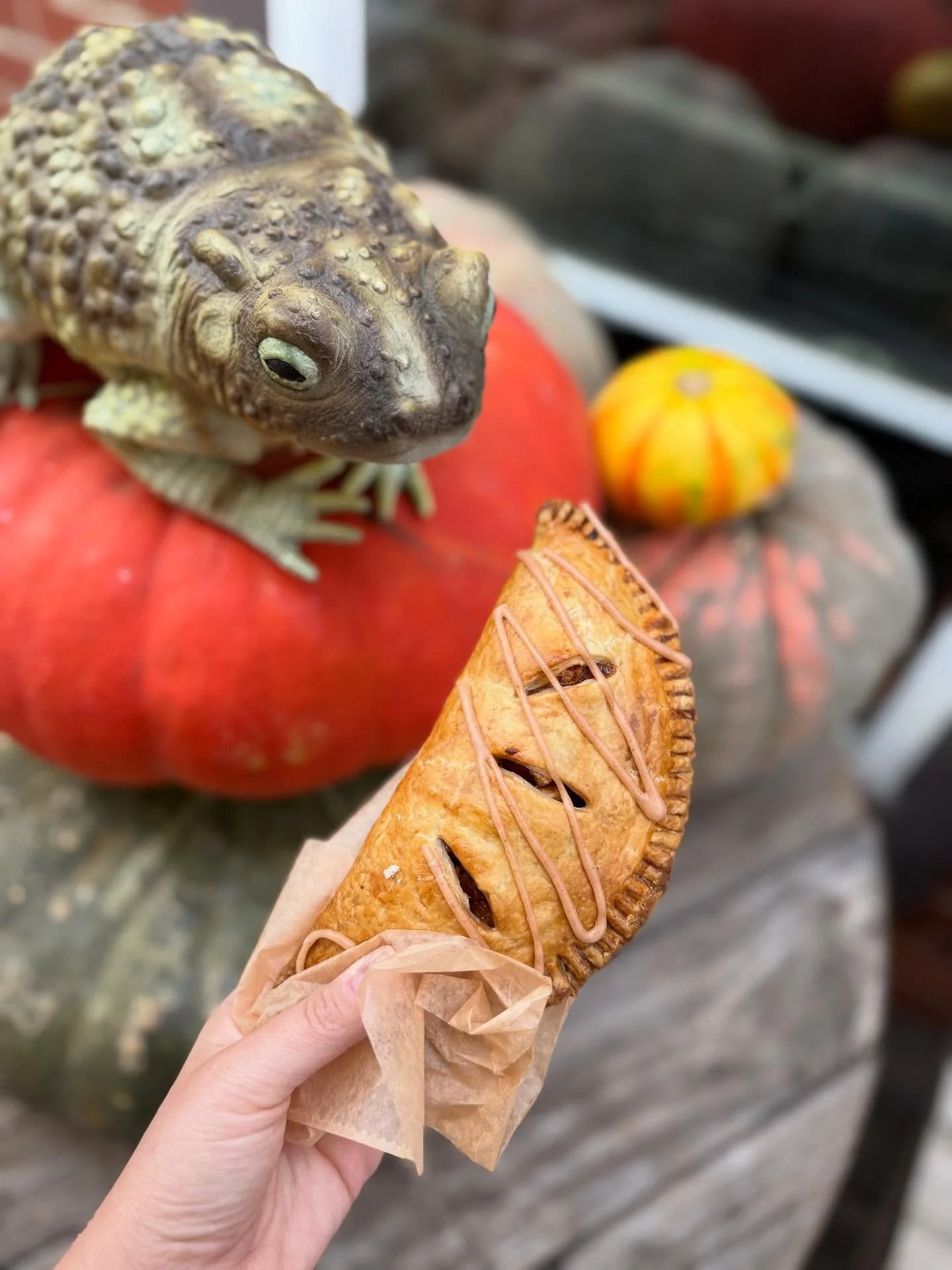 This toad told me he&rsquo;d turn into a prince if I fed him an apple hand pie. Then he ate my apple hand pie. Can&rsquo;t blame him though. They are so delicious!