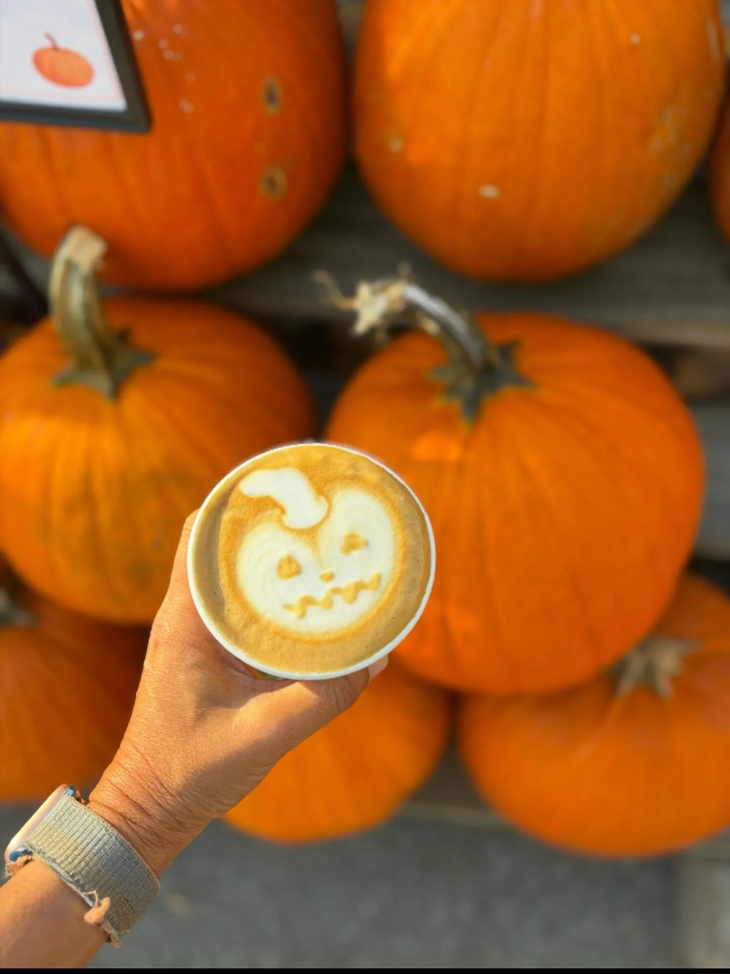 Good morning Pumpkins.