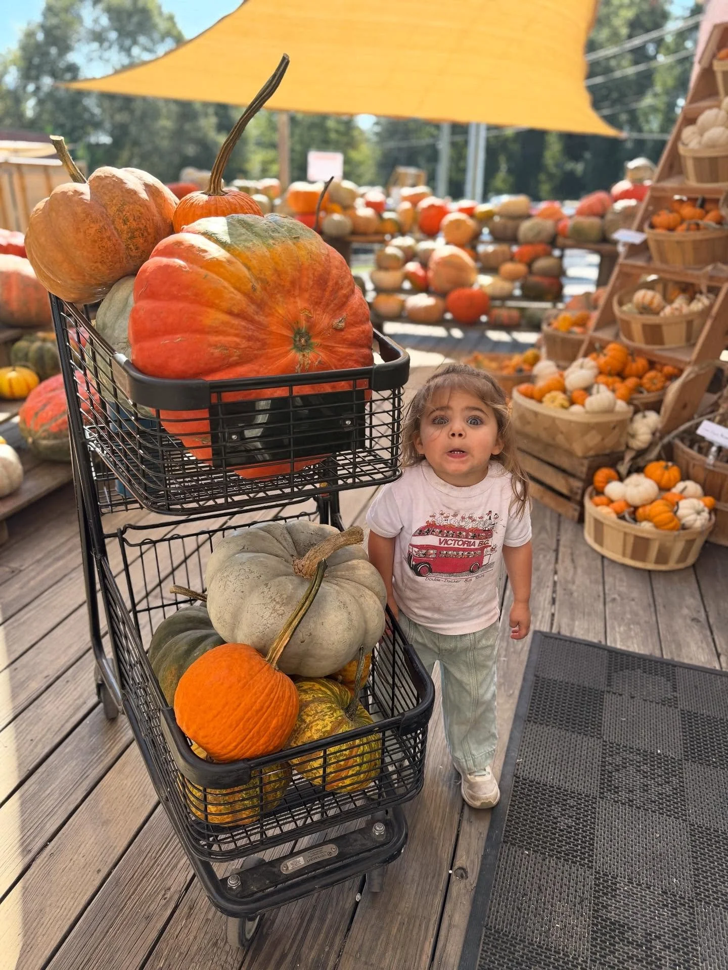When you&rsquo;re simply overwhelmed by all the beautiful pumpkins at Swamp.