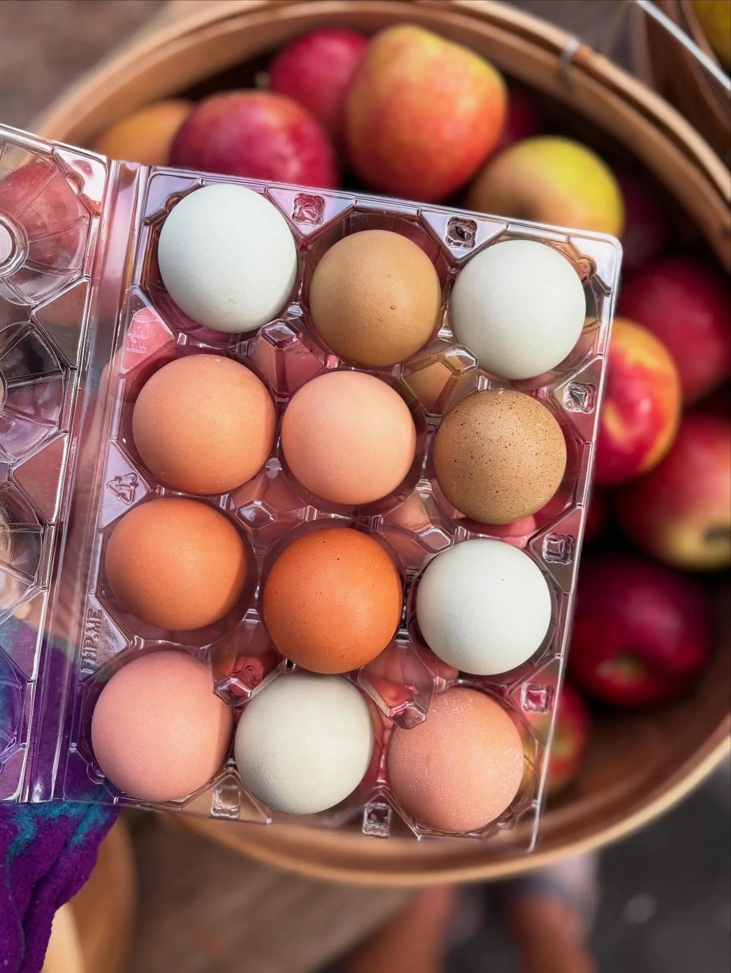 Here today, gone tomorrow&hellip;. Or more like gone in an hour because that&rsquo;s how popular @merciful_hearts_farm rainbow eggs are!