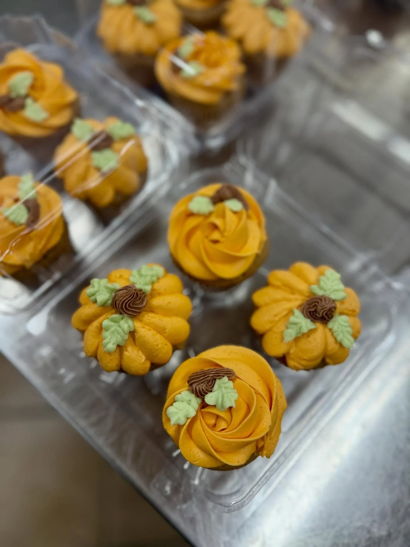 Don’t let a little drizzle stop you from coming to get some Swamp pumpkin cupcakes! Perfectly spiced and everything nice.
