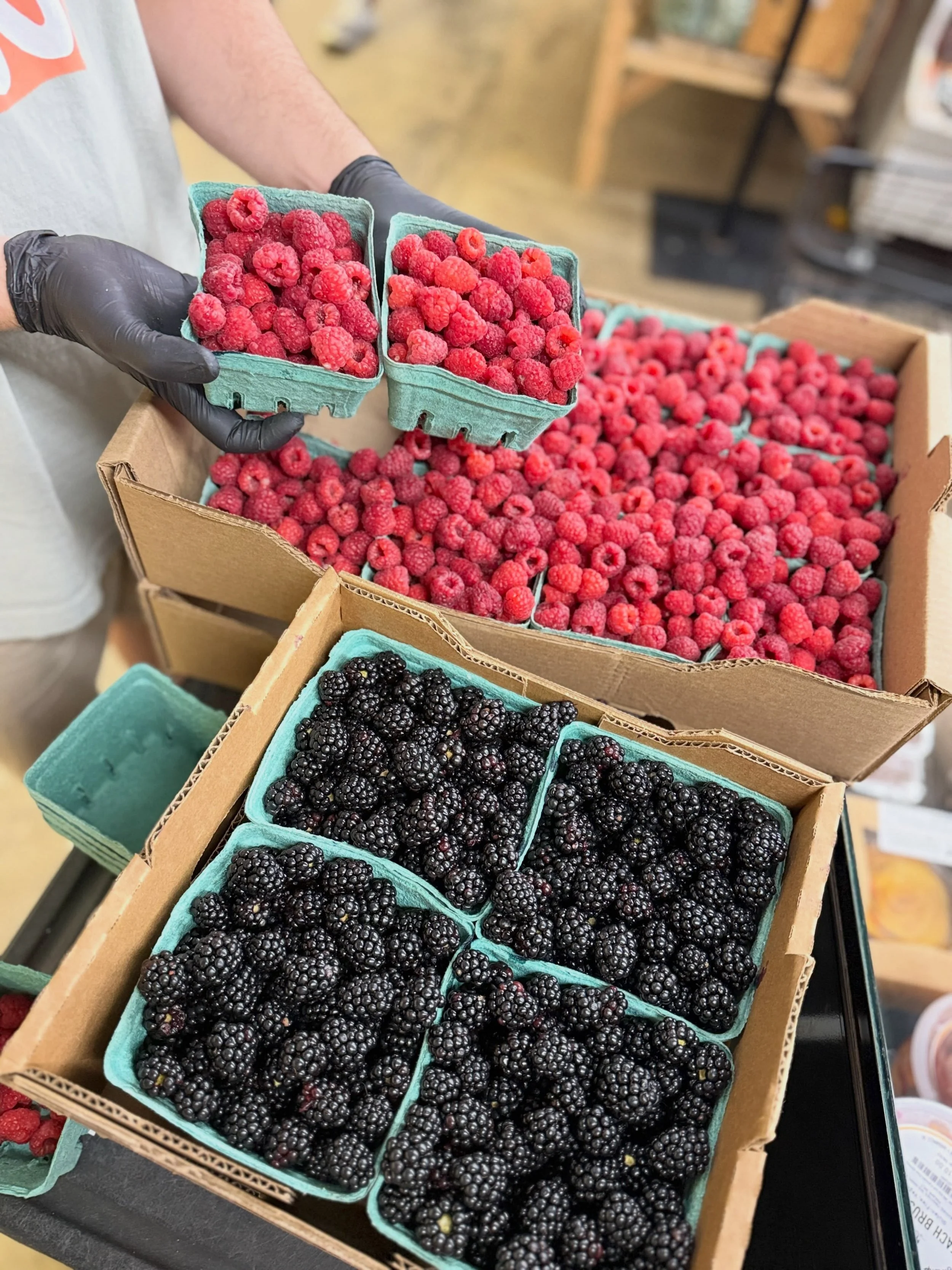 Beautiful berries are here from Stepp&rsquo;s Plants in Flat Rock, NC. We&rsquo;re in love.