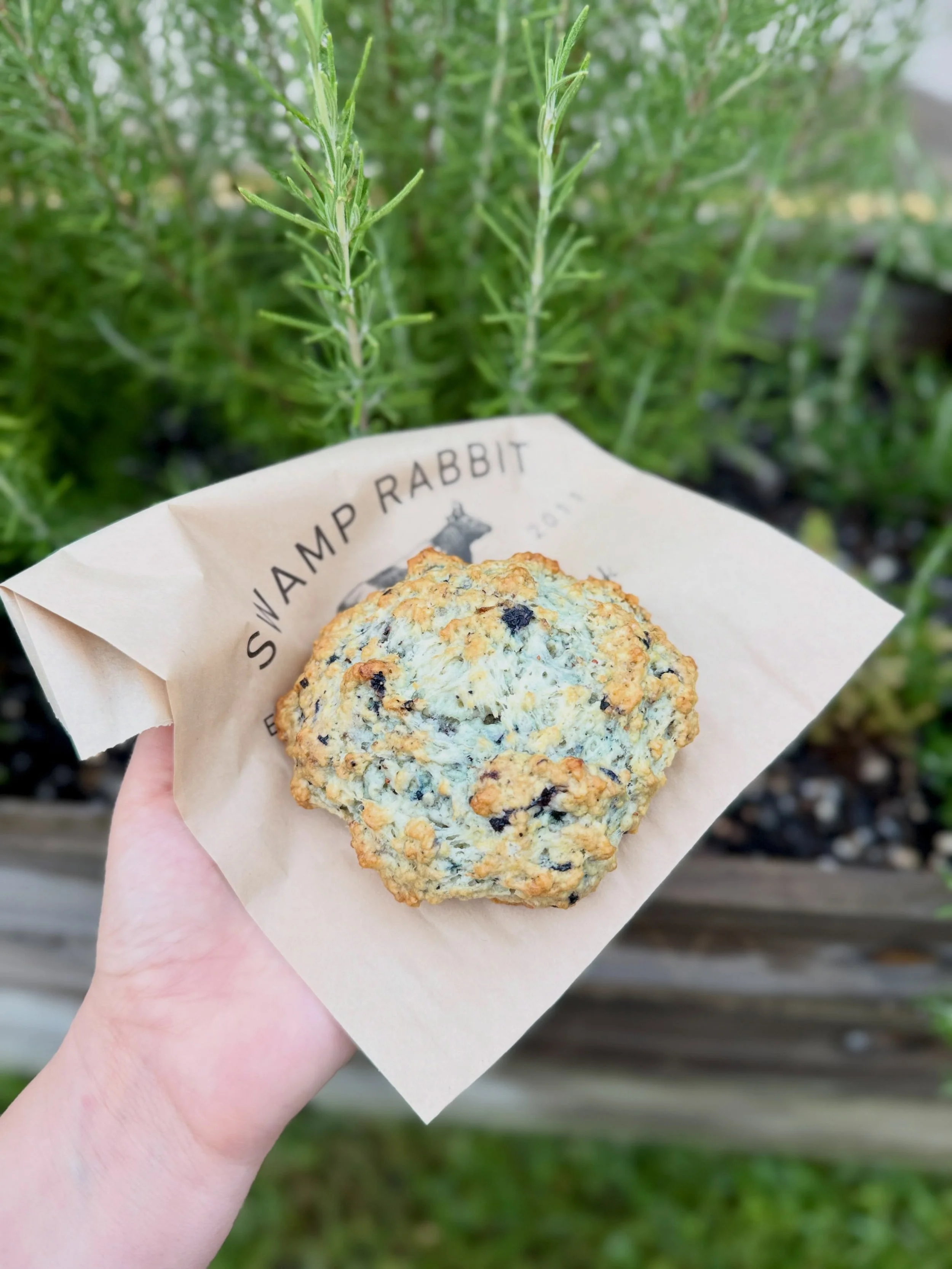She&rsquo;s a blueberry scone.