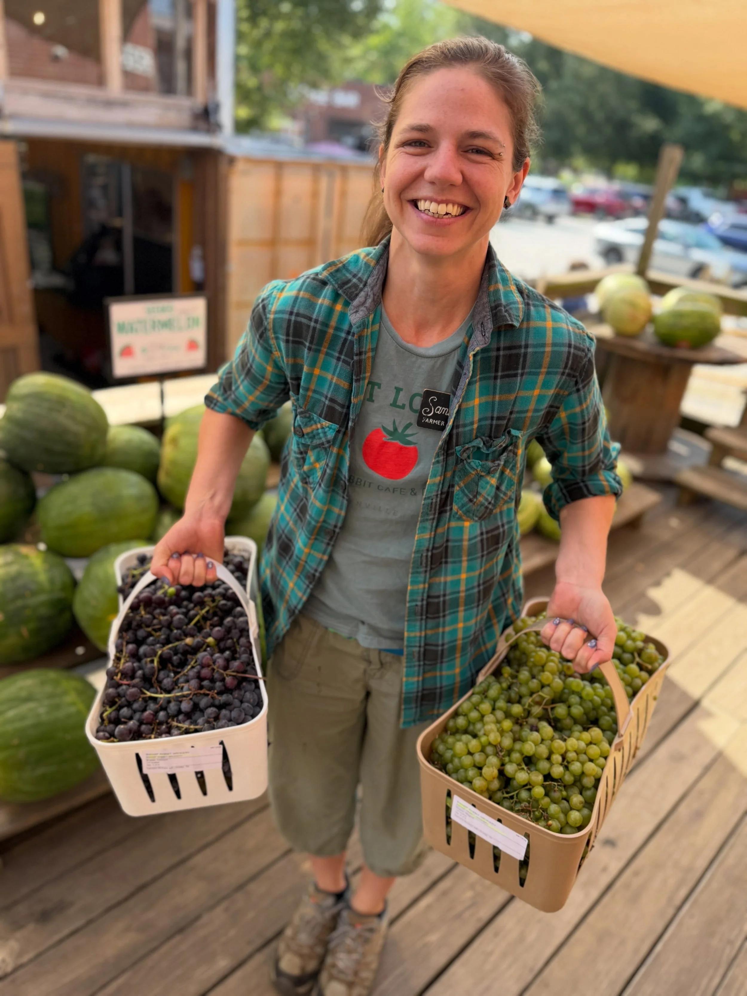 The colors of summer. Table grapes from Carver&rsquo;s Orchard in TN. (Seeded) 

Shishito peppers from Against the Grain in SC. 

Blackberries from multiple farms in NC and GA. 

Bicolor sweet corn from multiple farms in NC and GA.

Mixed cherry toma