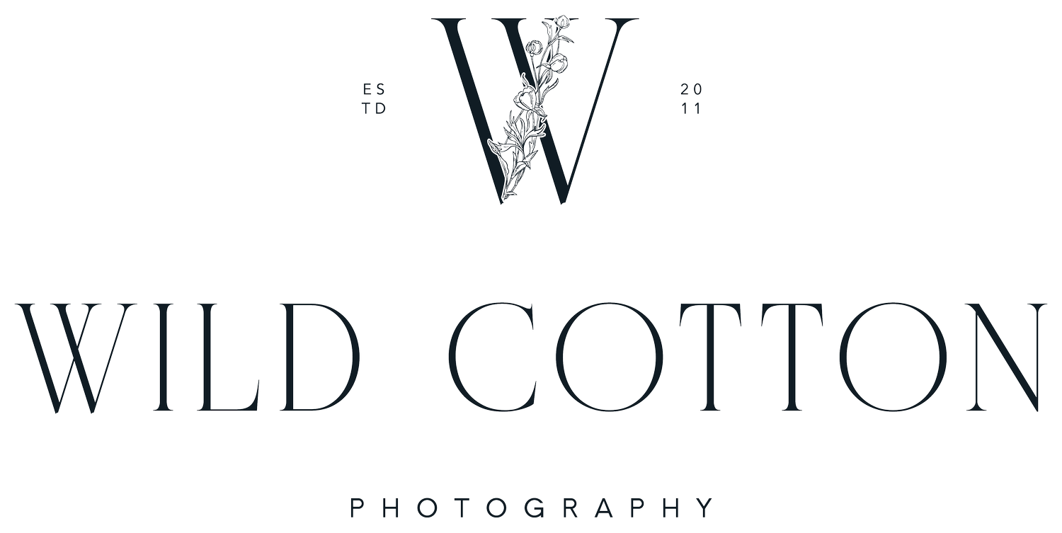 Wild Cotton Photography