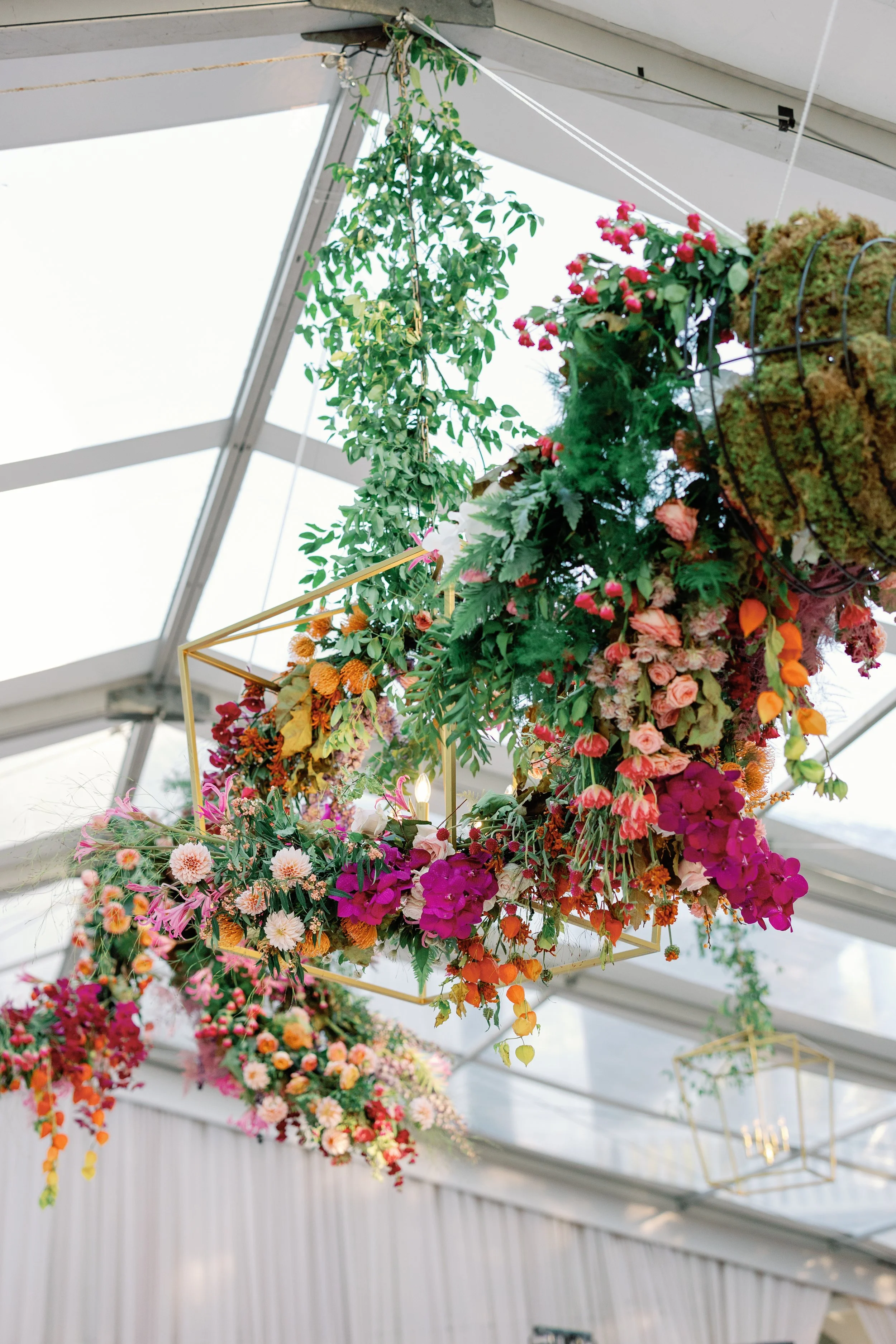 Colorful floral arrangements hanging from a ceiling in a greenhouse or conservatory with a glass roof.