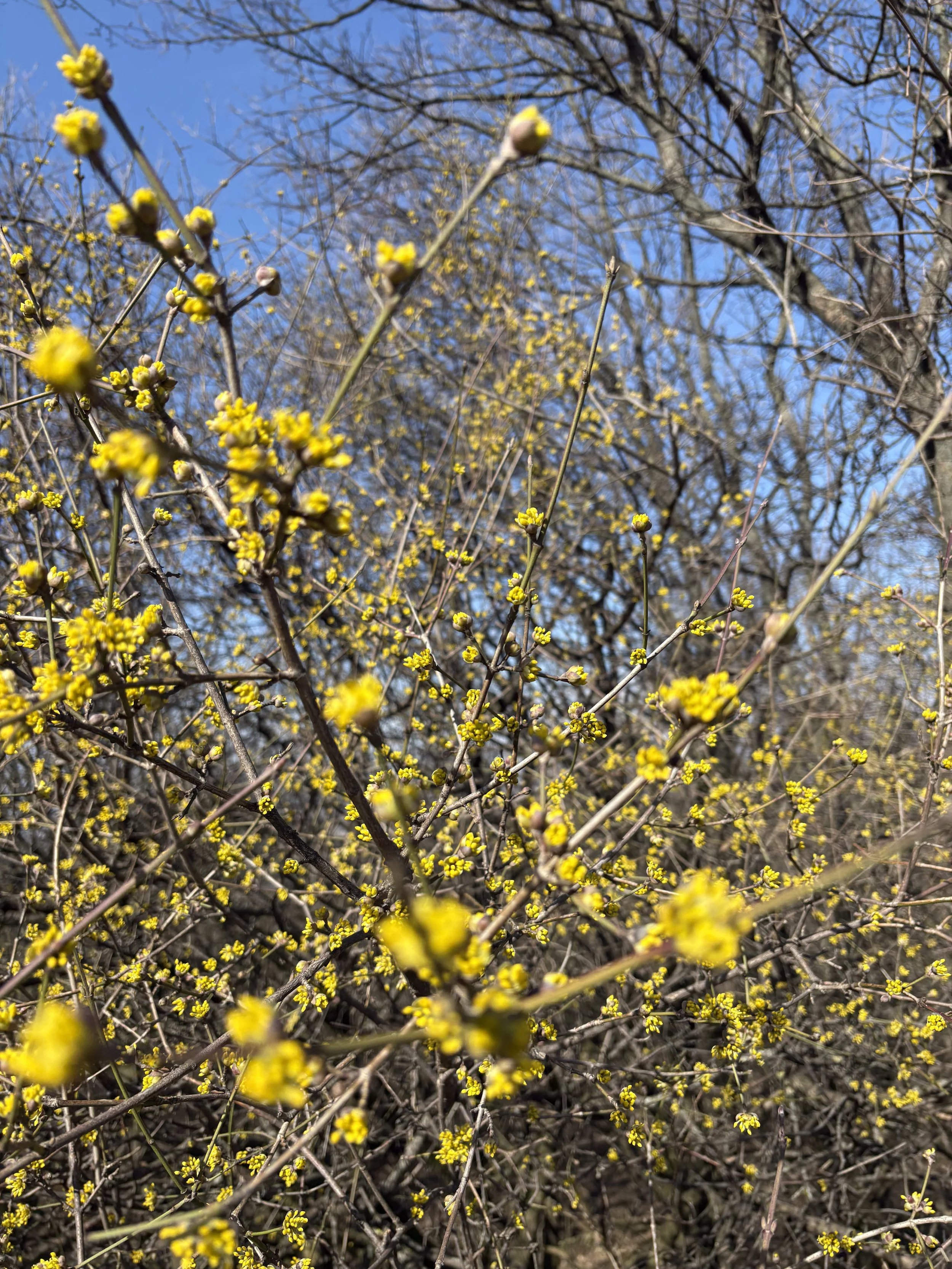 The Power of the Pause: How Taking Time to Pause &amp; Reset can Transform Your Leadership &amp; Growth!